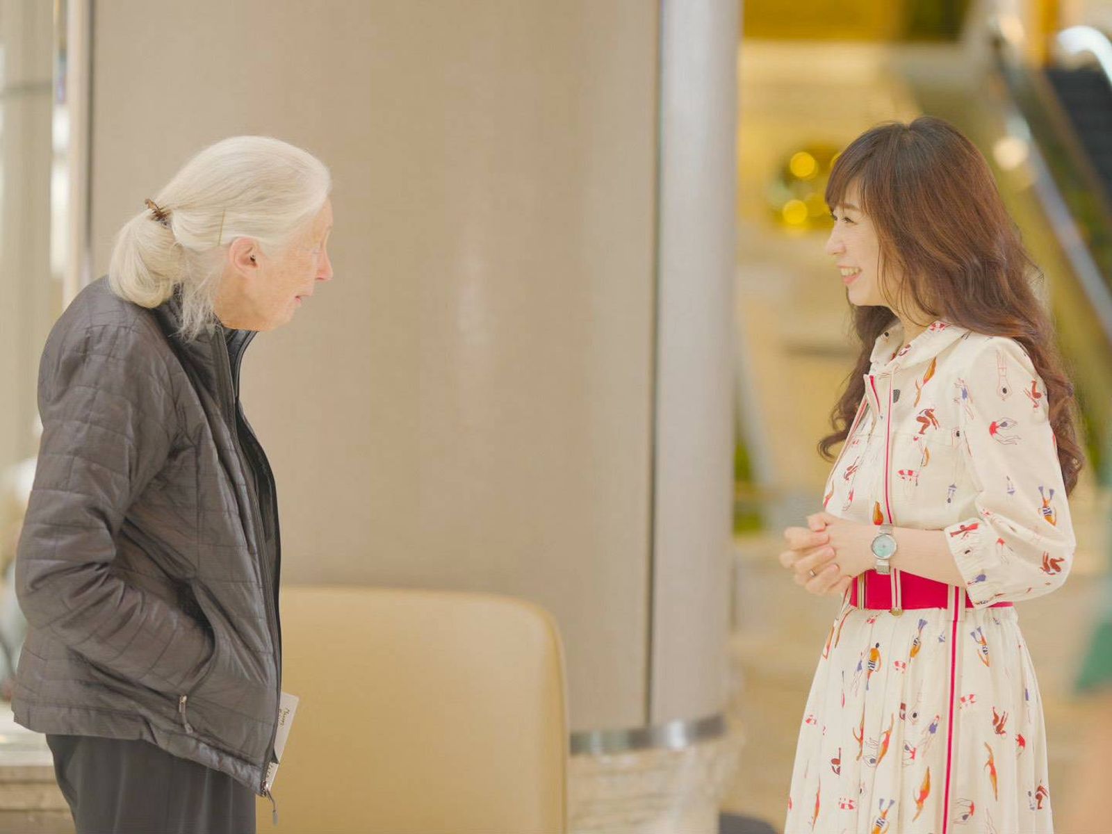 保育界傳奇人物:珍古德博士(左)。三立提供