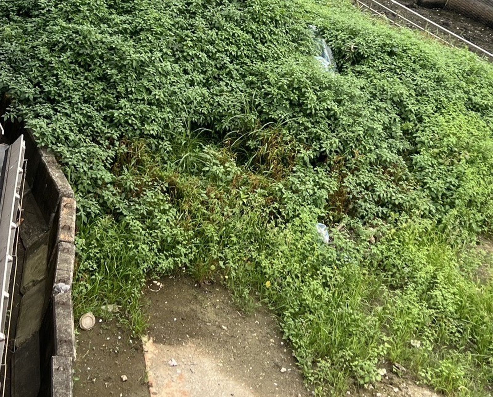 水利局強調淤泥邊設置紐澤西護欄，不影響防洪操作。水利局提供