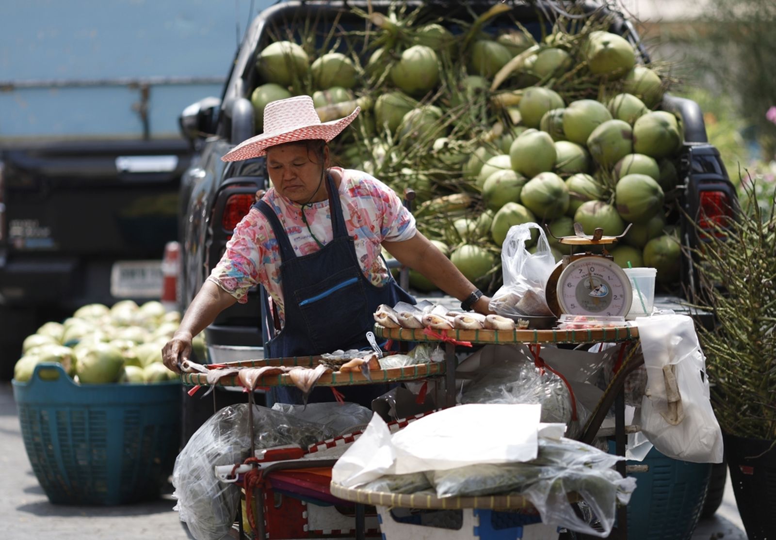 泰國親中政黨內訌　大動作查緝椰子產業的中資代理人