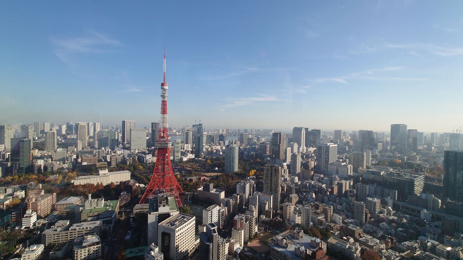 一年飛日本好幾趟還不夠!台灣人乾脆在當地買間房 信義揭最愛下手的是這群人