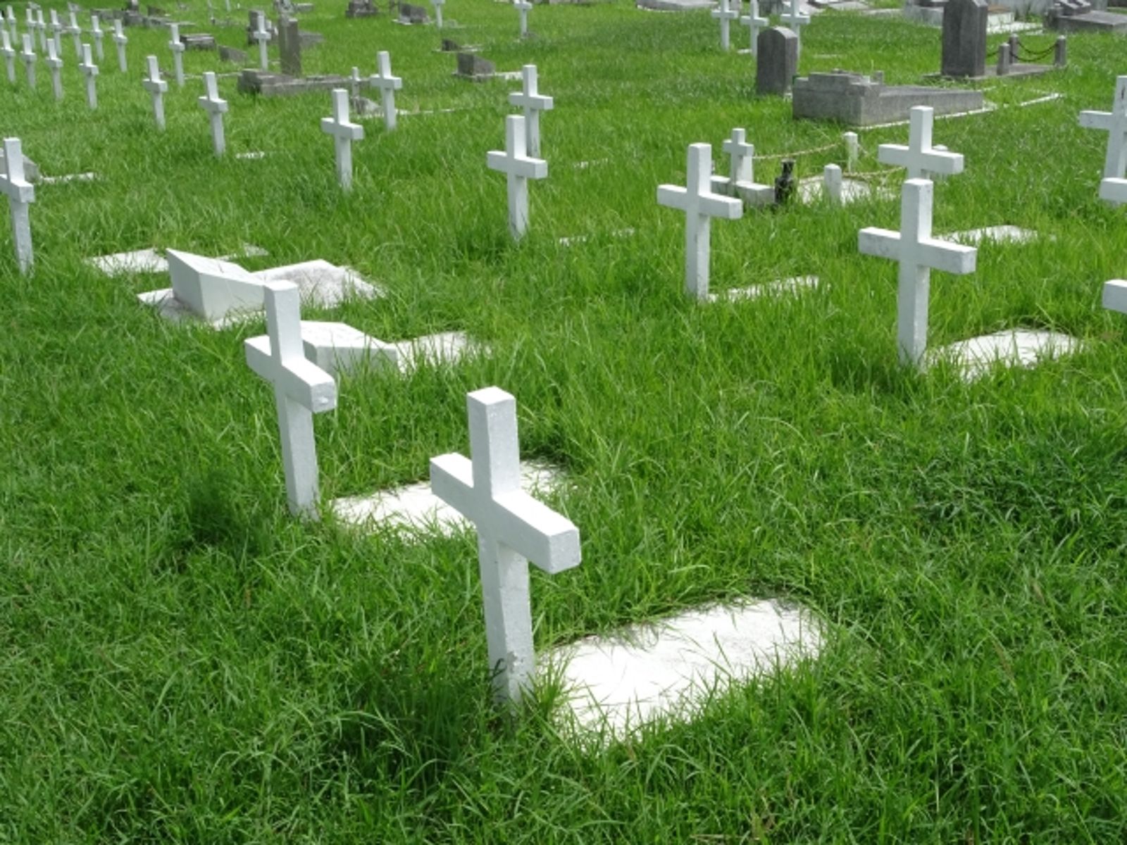 警以為抓到強盜犯！竟是挖墓工性侵女屍　自爆「8年48具」專挑新墳下手
