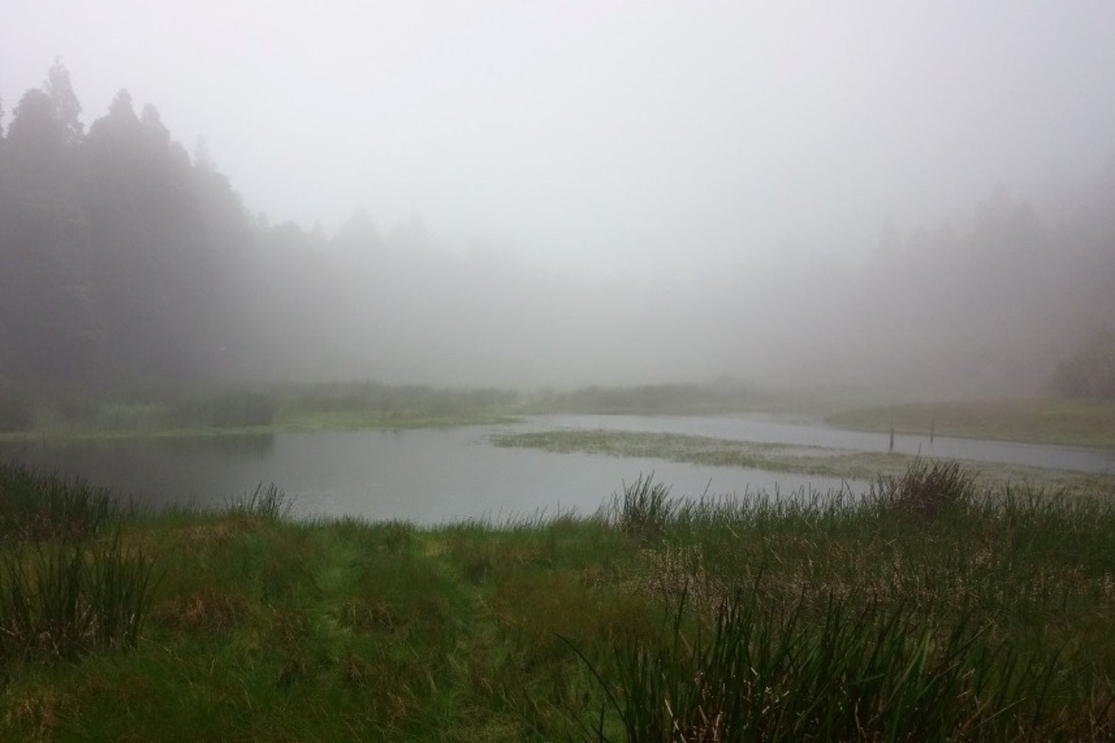 夢陽明山夢幻湖約5600年前河道邊坡崩塌所形成堰塞湖。圖／翻轉地理教室