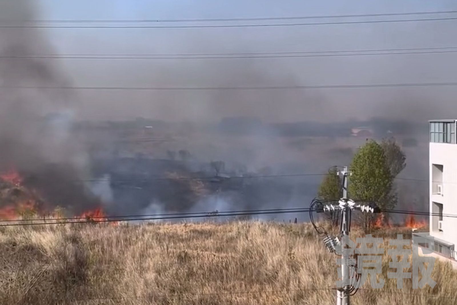 台中龍井公墓野火伴強風狂竄 「快燒到家門口了!」民眾嚇爛