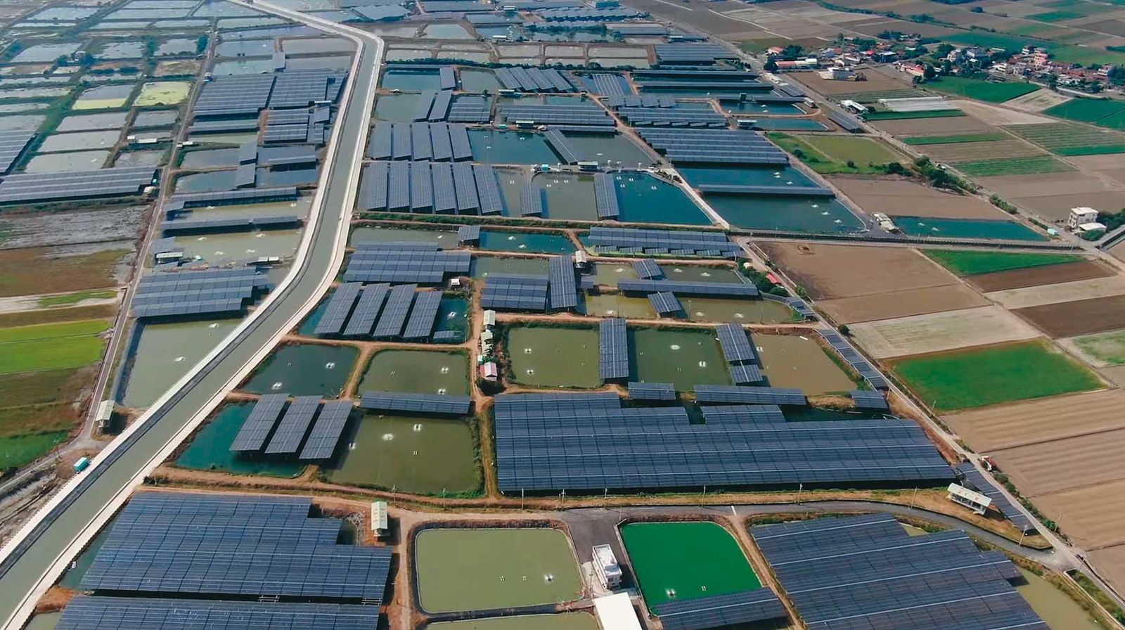 神鬼特助、經理聯手!台泥綠能「2案場」慘淪提款機 爽領5千萬回扣手法曝