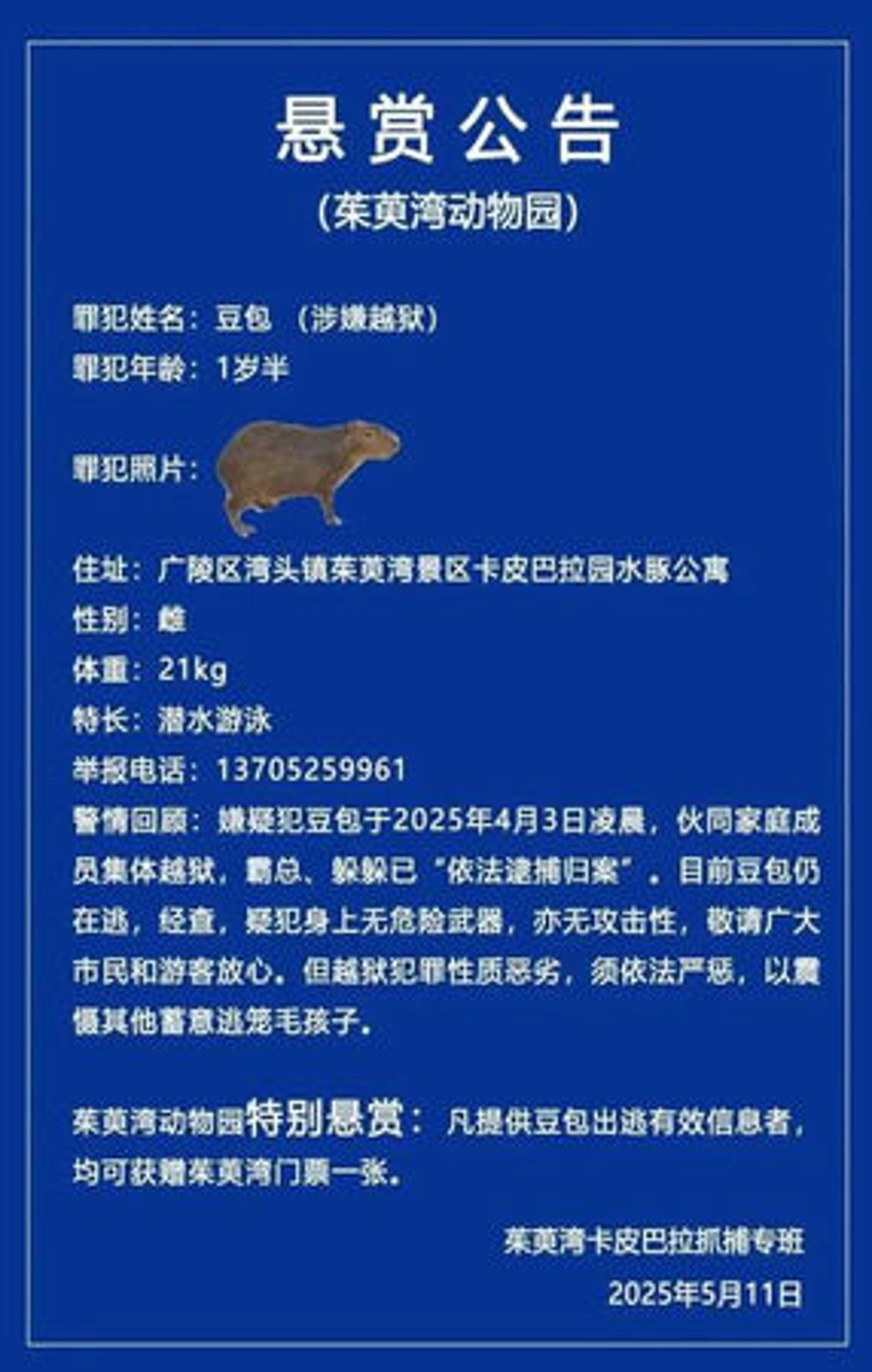 風景區管理處為找豆包,發布懸賞公告。圖/翻攝自微博