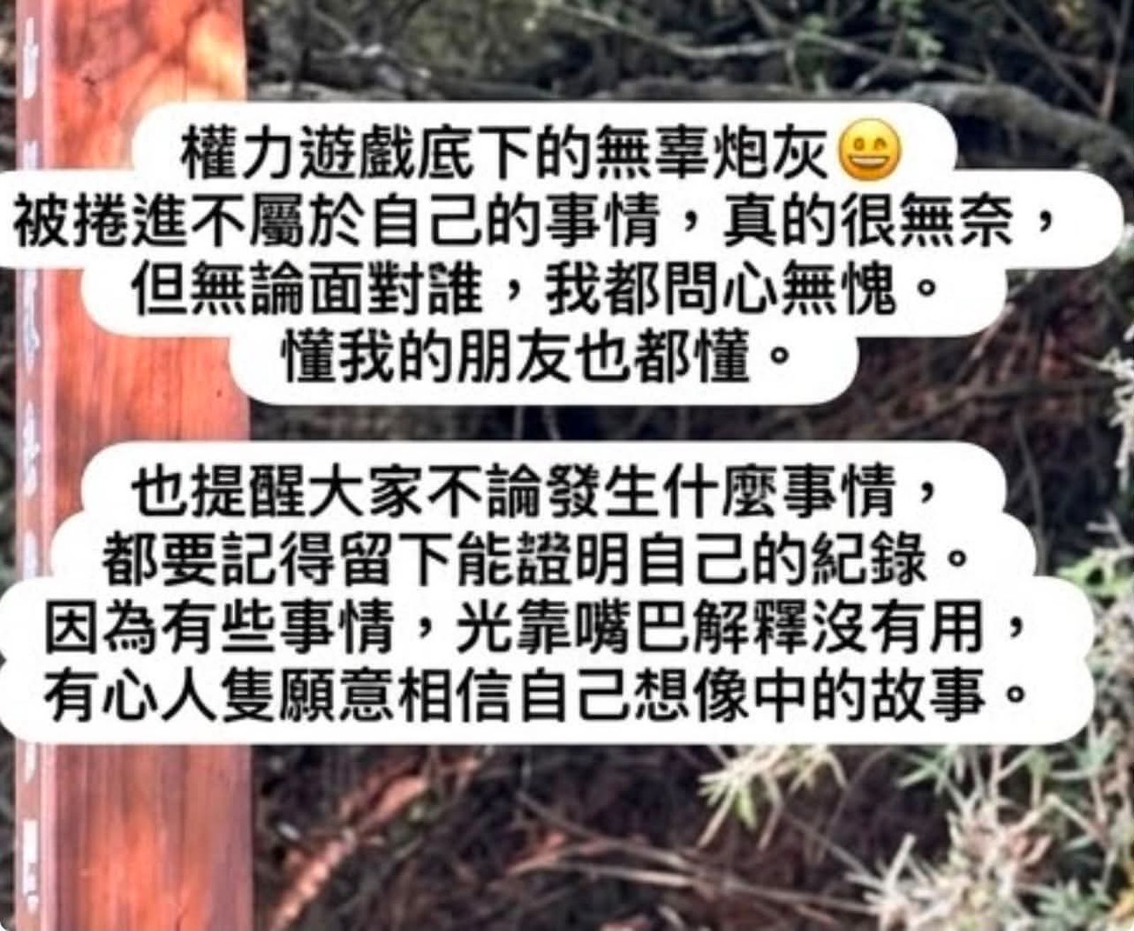 陳幸妤開撕13天 許芊芊疑打破沉默發心聲109字 痛斥:我是權力遊戲無辜炮灰