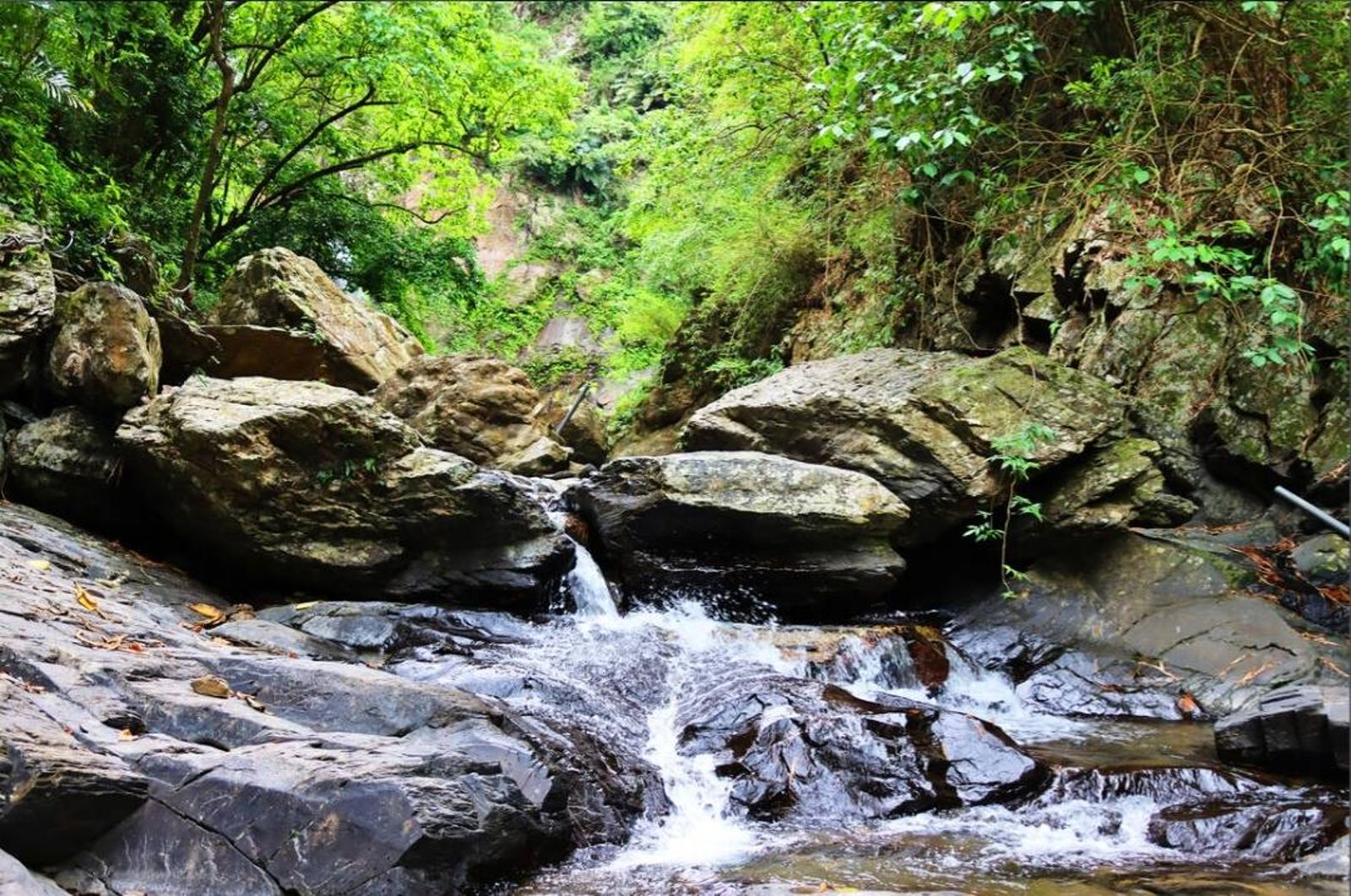 帶友人小孩出遊竟成奪命之旅!兩媽帶4童闖屏東牛角溪 12歲男童救自家小孩慘溺斃