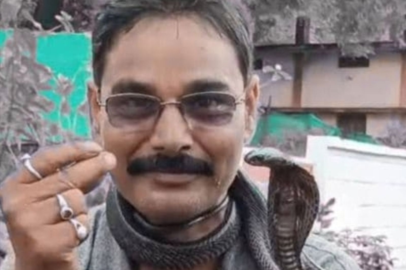 印度2寶爸急著接孩子放學，「眼鏡蛇掛脖子」遭狠咬身亡。圖／翻攝自X