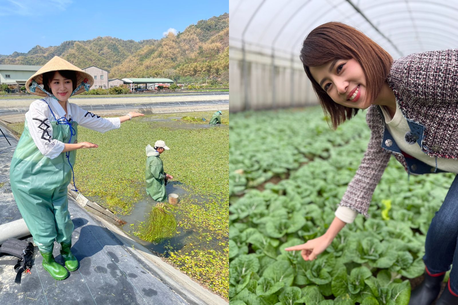 《台灣亮起來》20週年改版！主持人首集就超慘　烈日下田黑一階、體驗「農民真實樣貌」