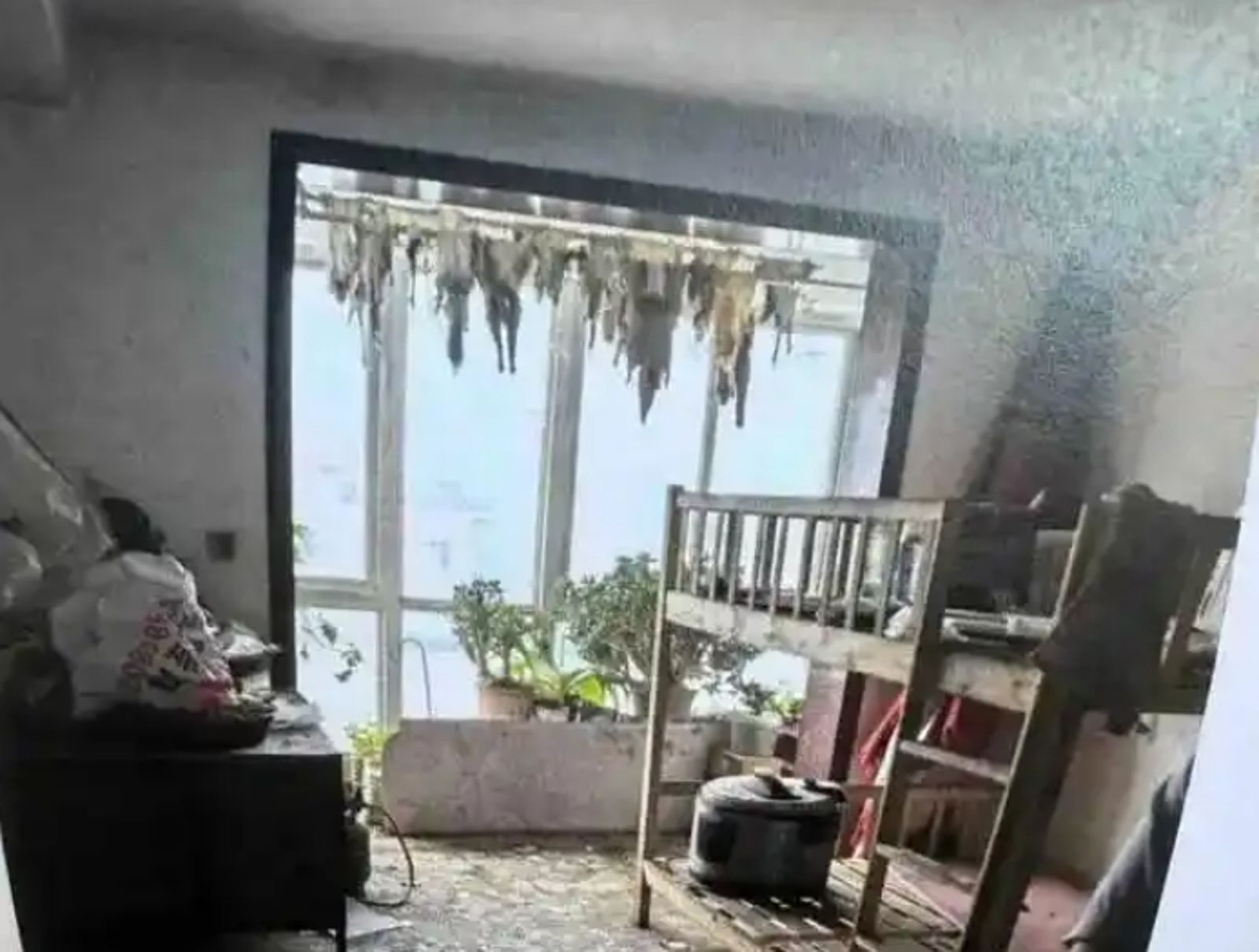 情侶「吃狗肉曬狗皮」！房東進屋見「骯髒慘況」大崩潰