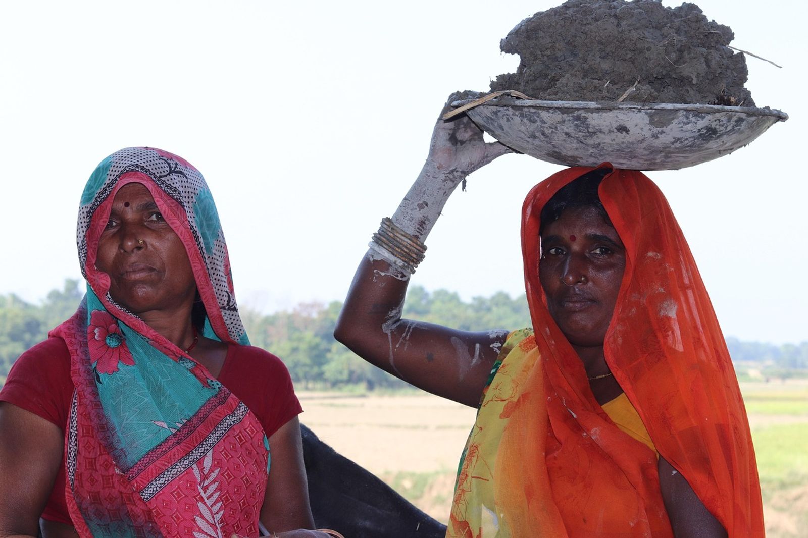 避免月經耽誤採收甘蔗 印度843名女工被迫「切除子宮」