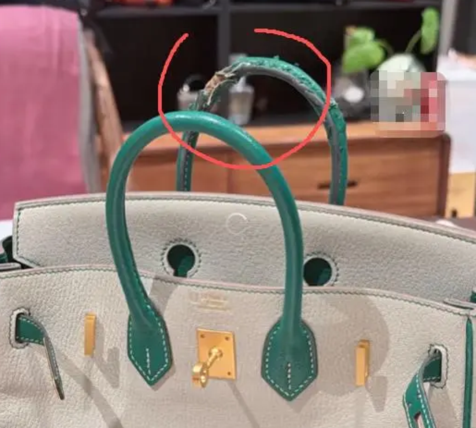 廣東一名女子愛馬仕包包遭狗狗咬壞，無法修復。圖／翻攝畫面