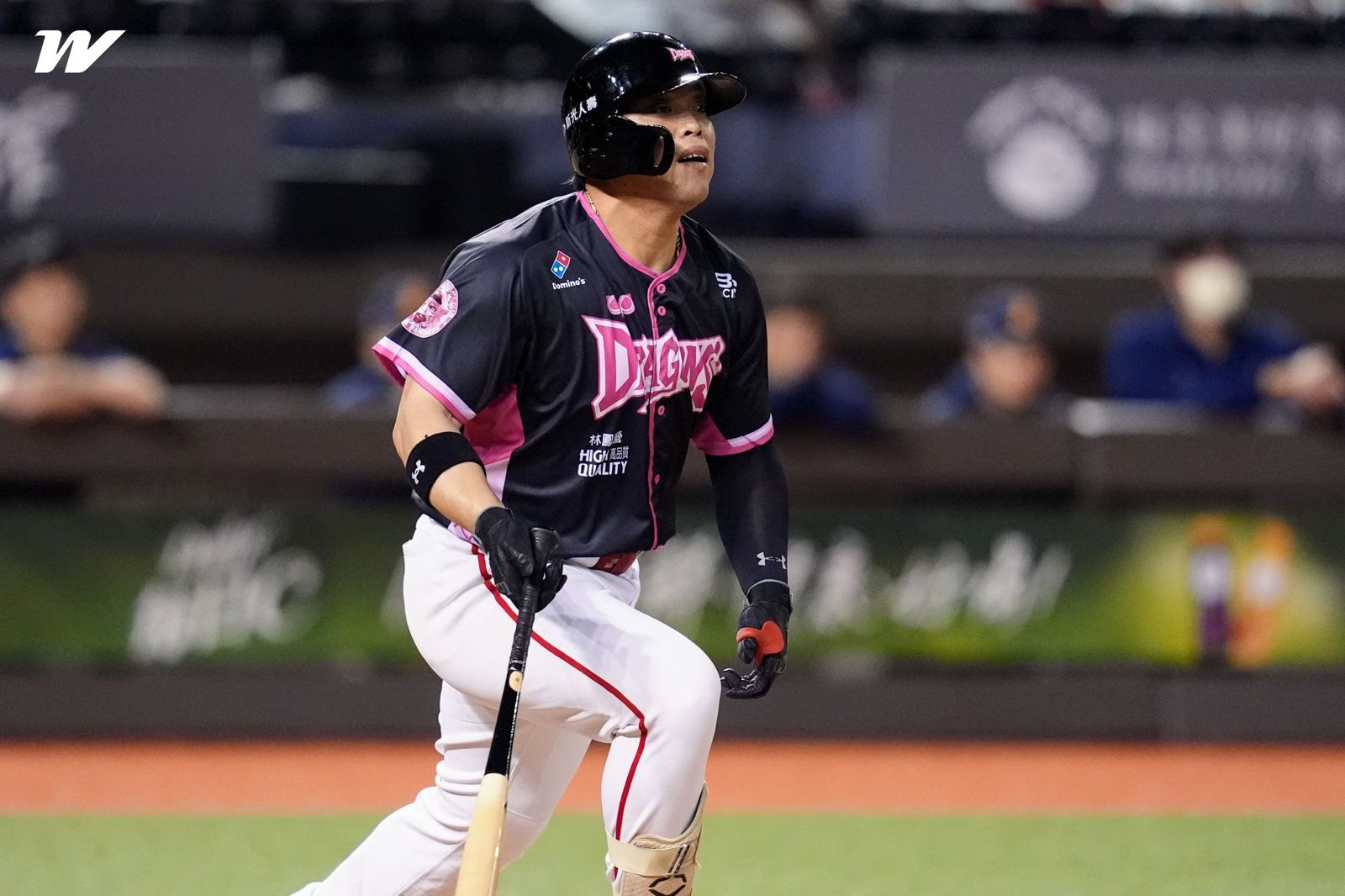 中職／龍隊打線漸入佳境！葉君璋讚陳子豪回溫：四棒位置正合適