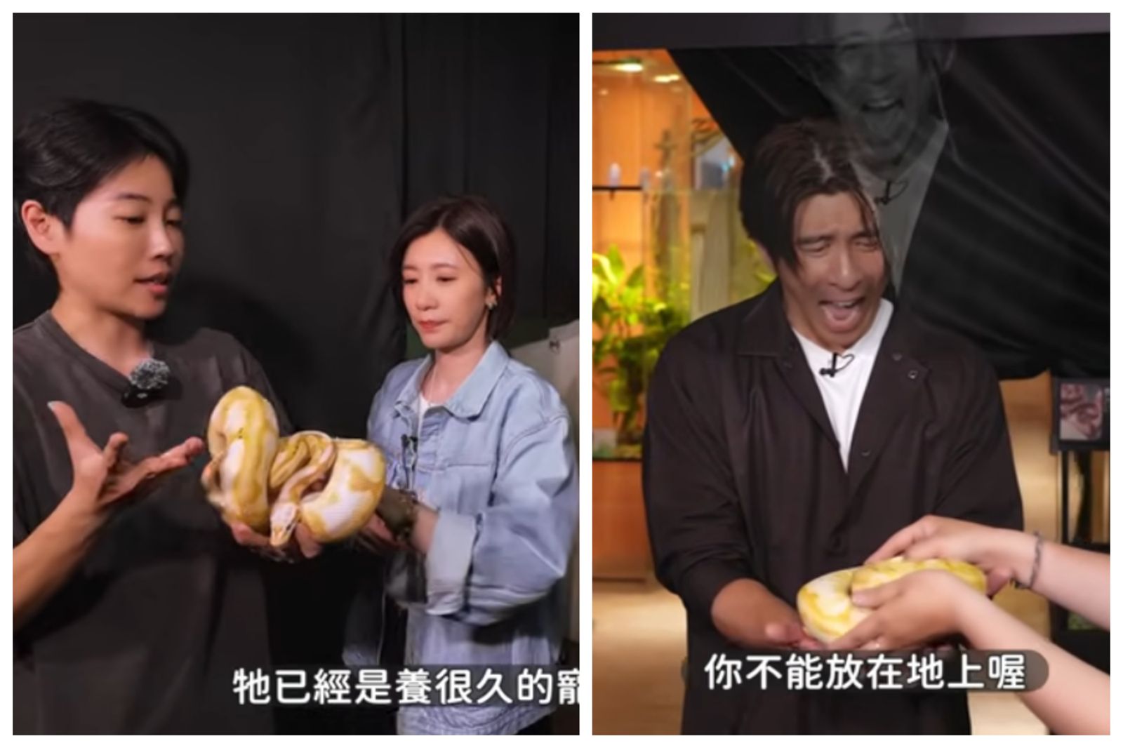 賈靜雯爆一年未被回訊　他傻眼腿軟道歉