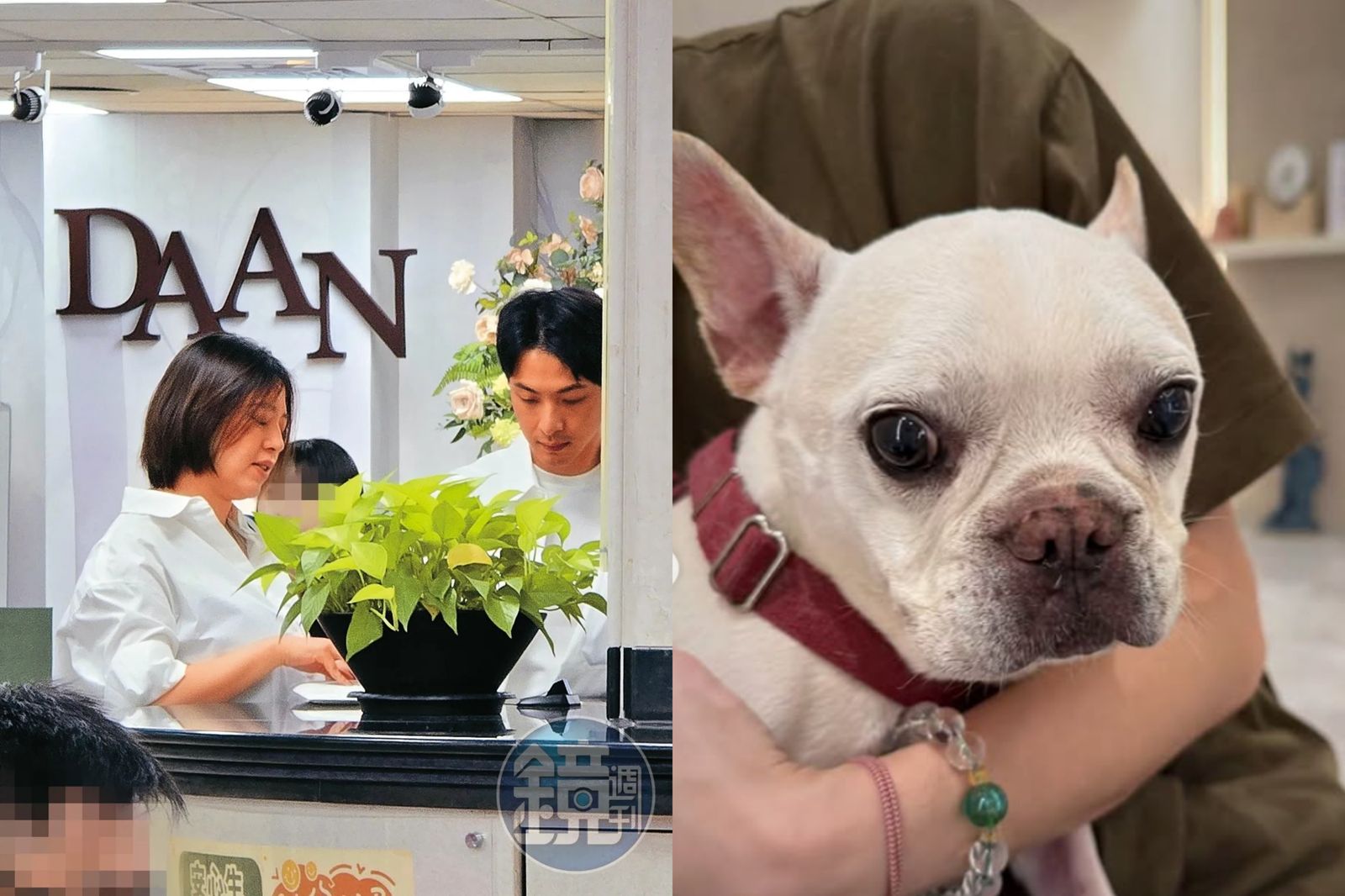 劉品言、連晨翔奔戶政辦結婚登記　愛犬晨熊搶鏡