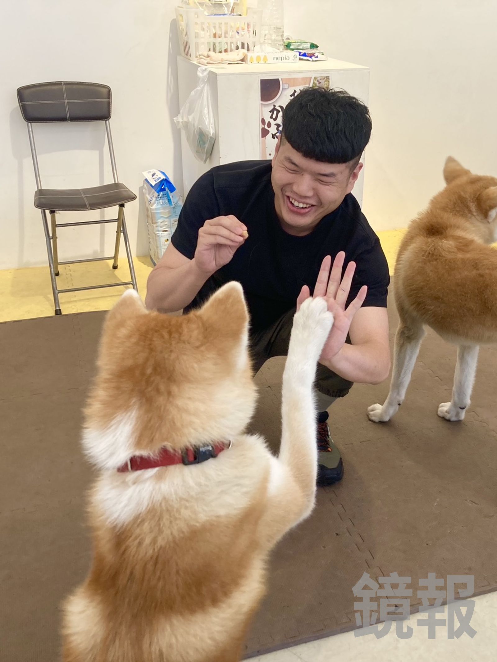 手上有零食,就可以跟牠們擊掌。