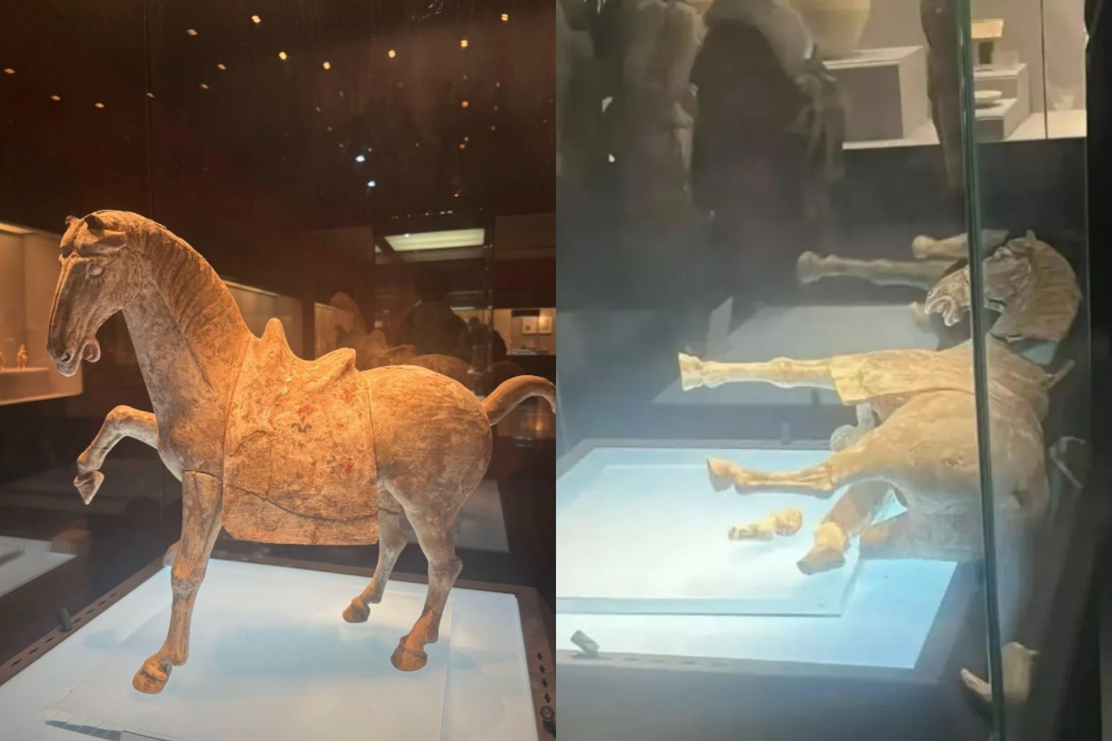 腳軟了...洛陽博物館唐代陶馬倒地碎裂　網嘆「不吉利」：馬年都還沒到