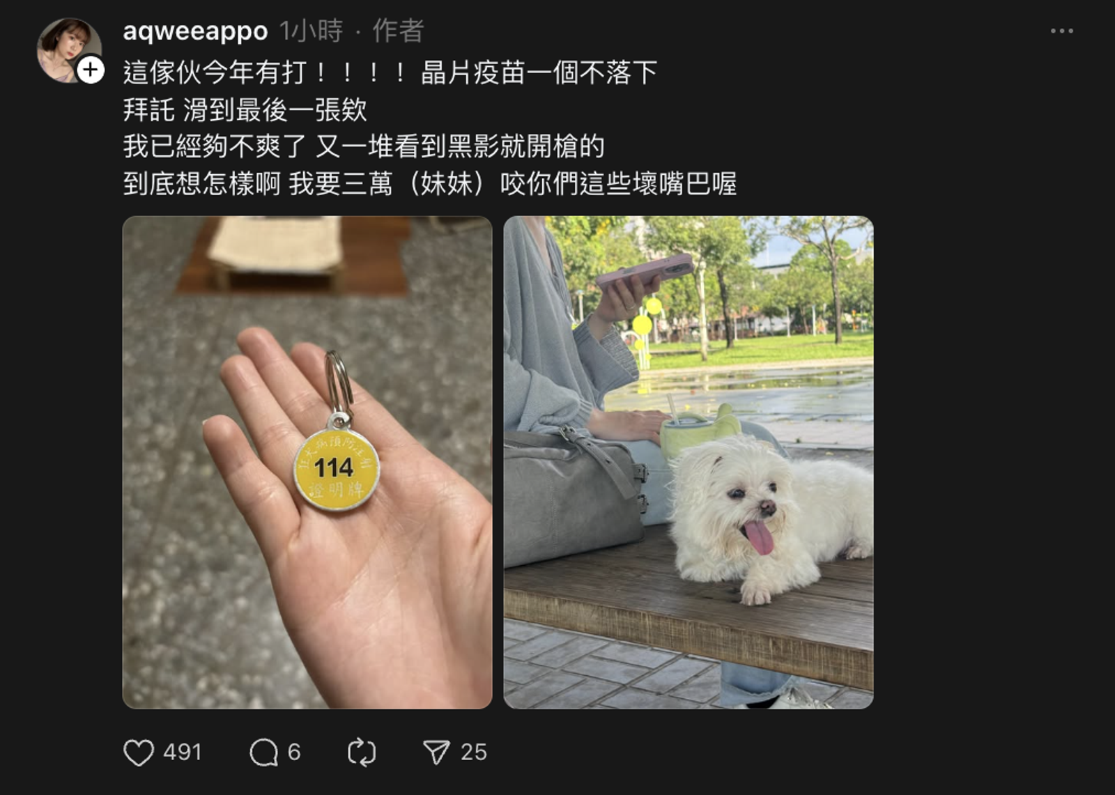 一名飼主抱怨已替愛犬「妹妹」施打狂犬病疫苗,仍被政府開罰。圖/翻攝自@aqweeappo Threads