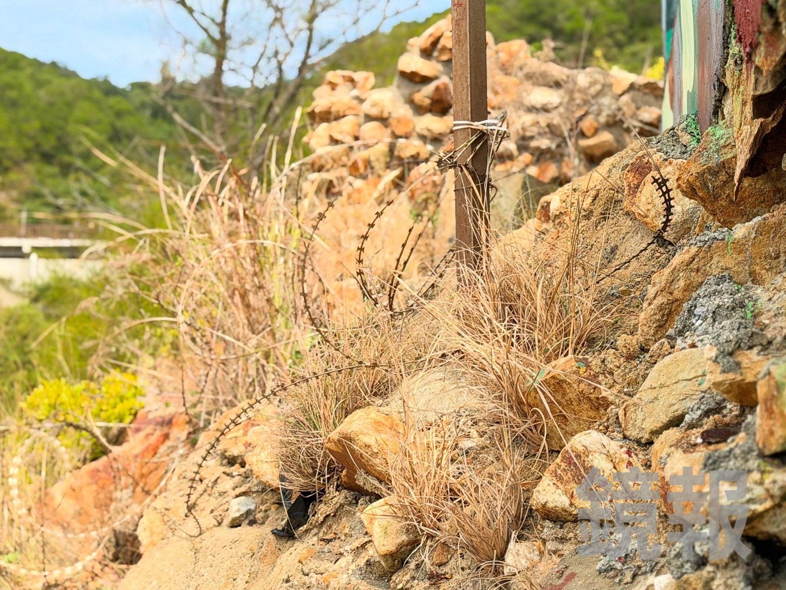 蛇籠的刀片設計,一旦刺穿皮膚,絕對會皮開肉綻。