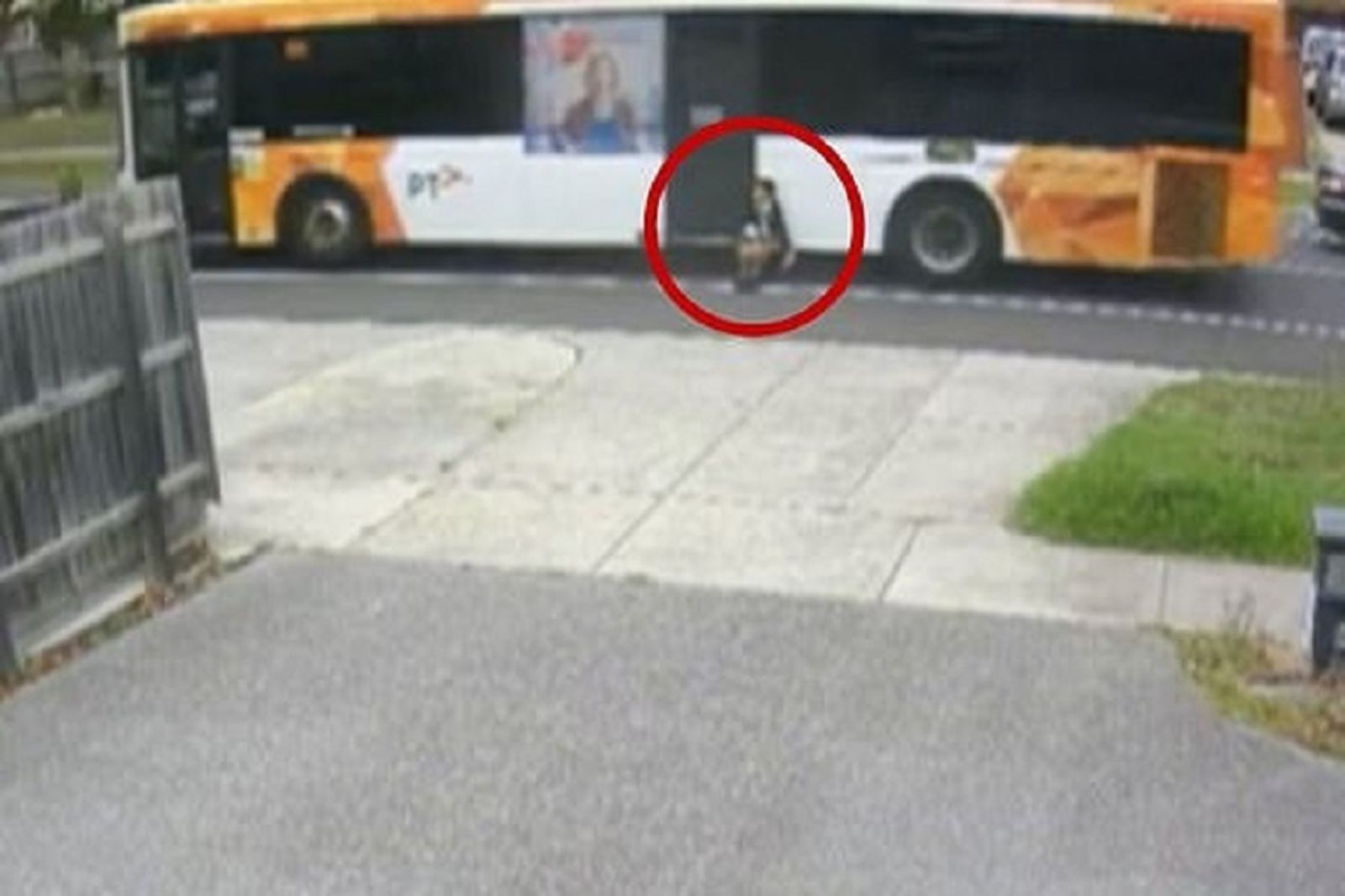 驚悚！澳男童書包與手臂遭校車門勾住　慘被拖行350公尺