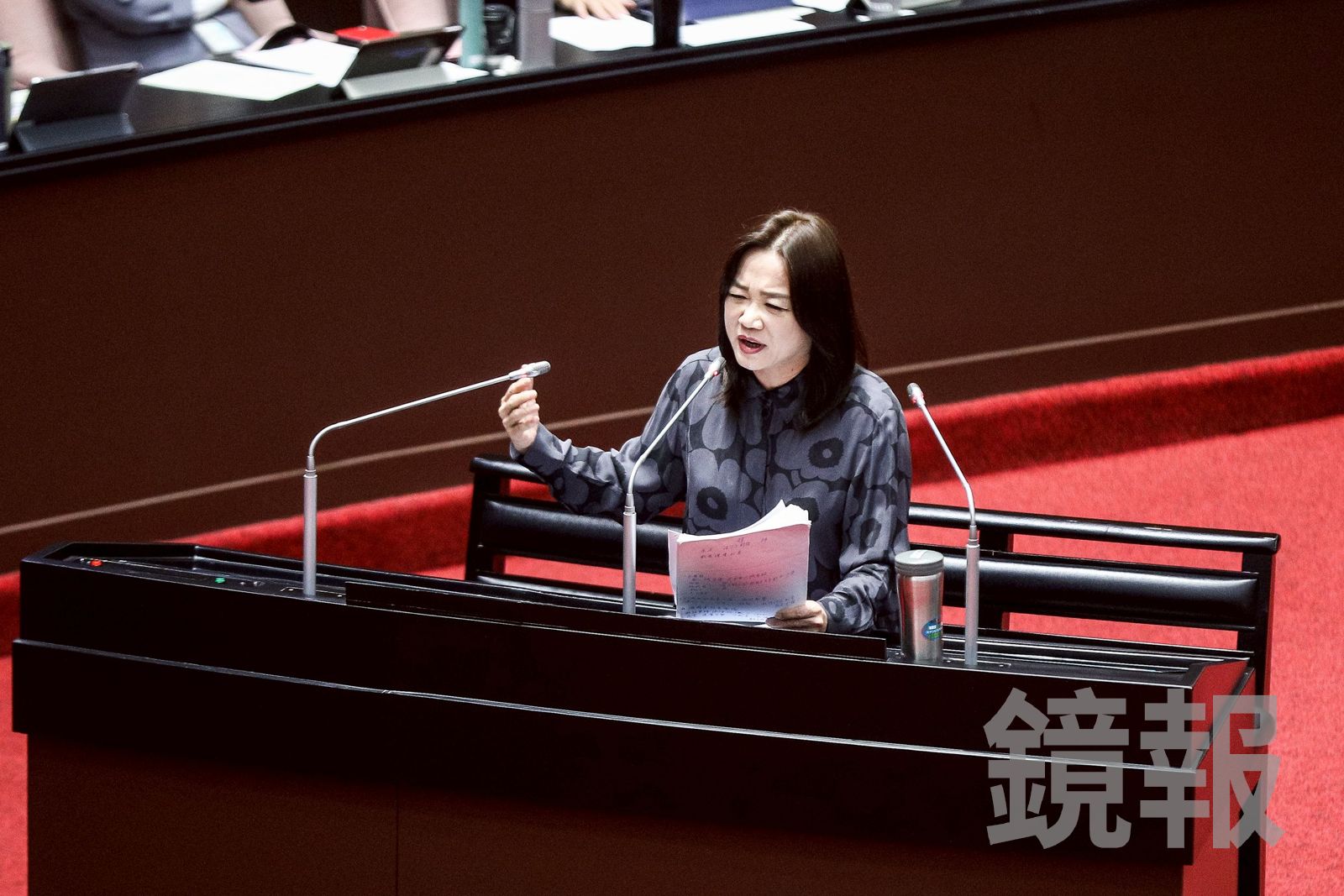 馬文君聲援李貞秀！要求「尊重基本人權」　劉世芳反擊：不要包庇非法陸配