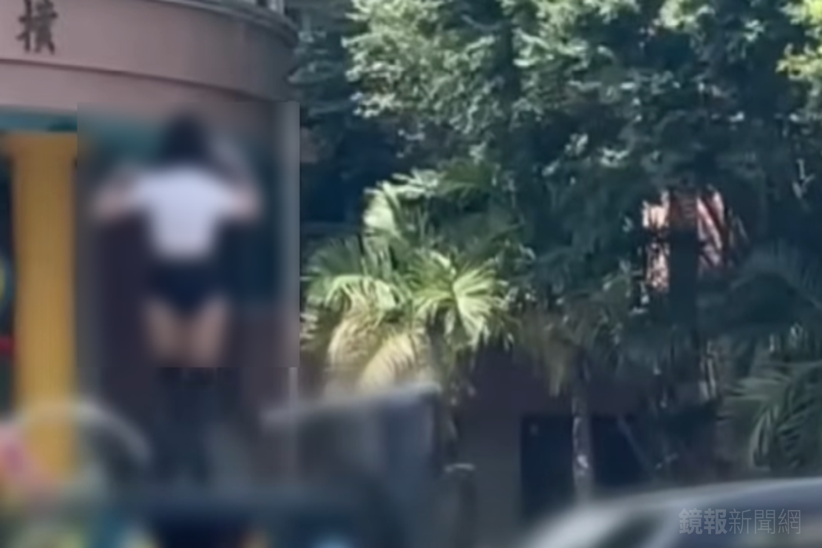 家長花錢請鋼管舞團至校園前表演。圖/翻攝自爆廢公社