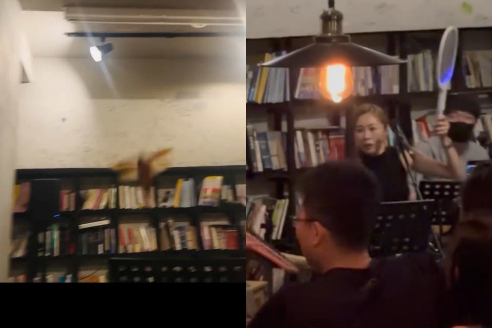 一隻胖小強飛升亂竄，張棋惠拿出電蚊拍應戰。網友hueiwen_91提供