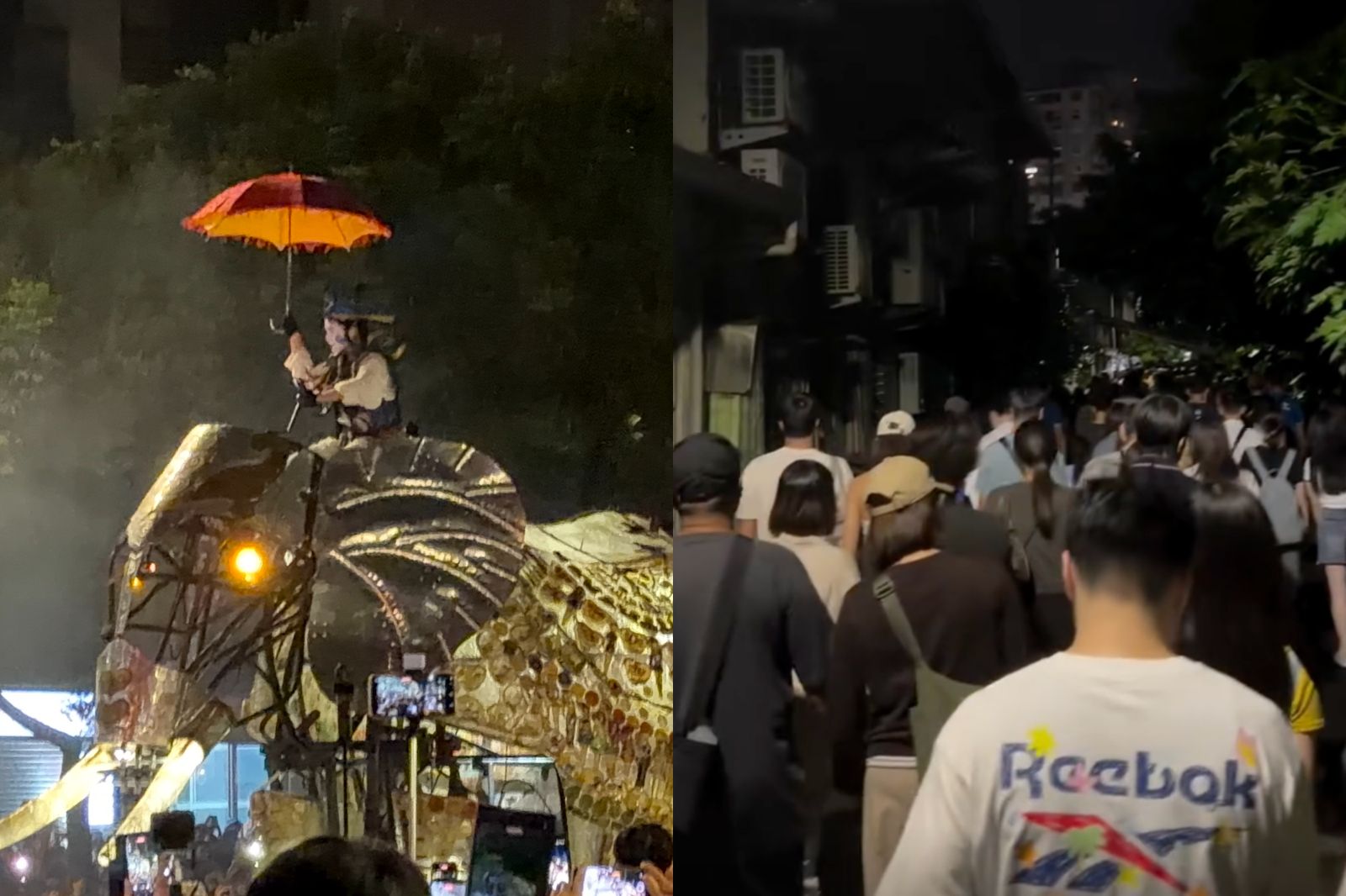10萬人搶看《大象來了》!士林街道完全癱瘓「險爆踩踏」...民怨:不該拿孩子的安全去賭