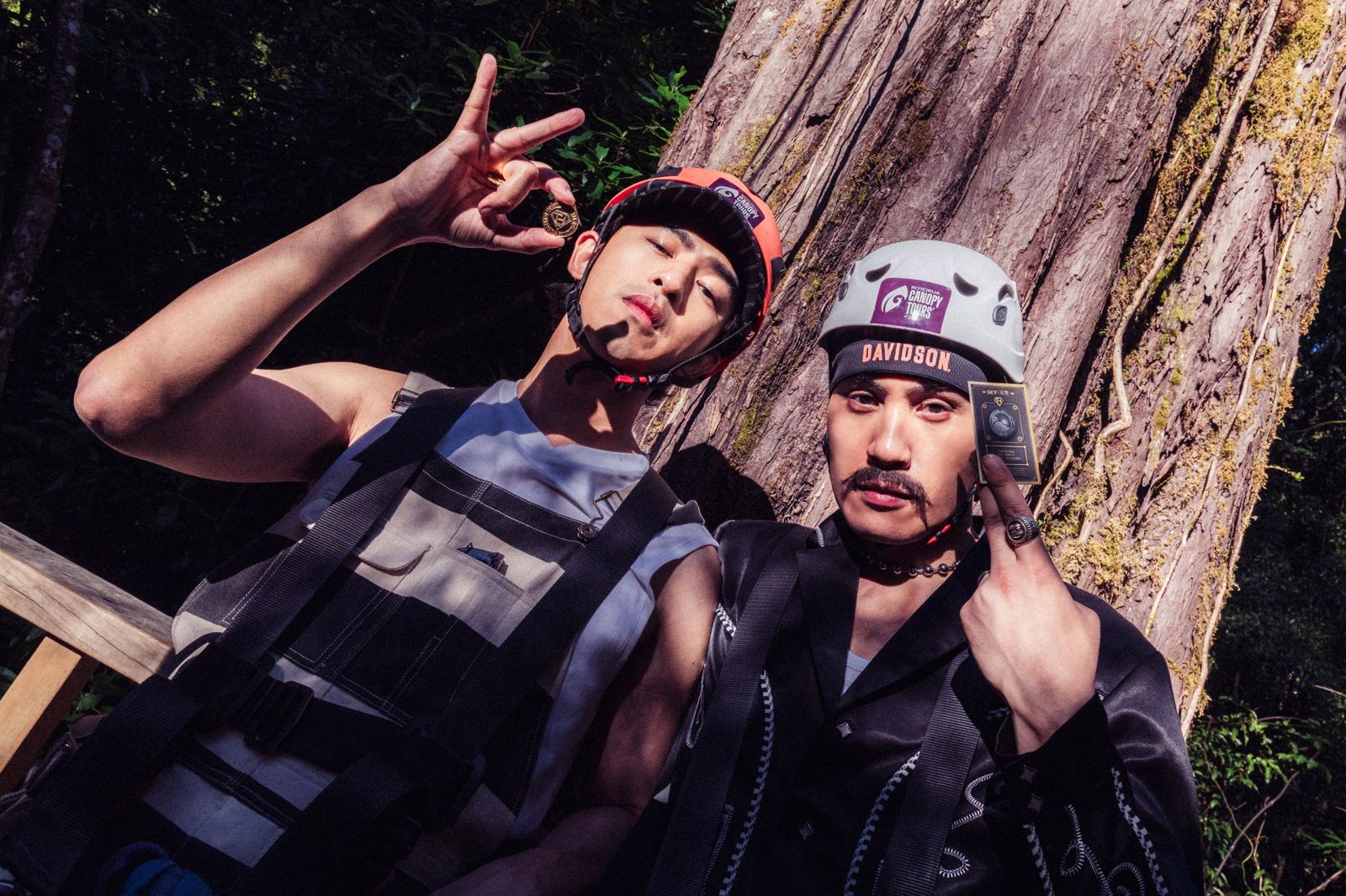 黃宣走高空吊橋「狂飆髒話」嚇到目光呆滯　哀求陳柏霖：哥哥你別趕我