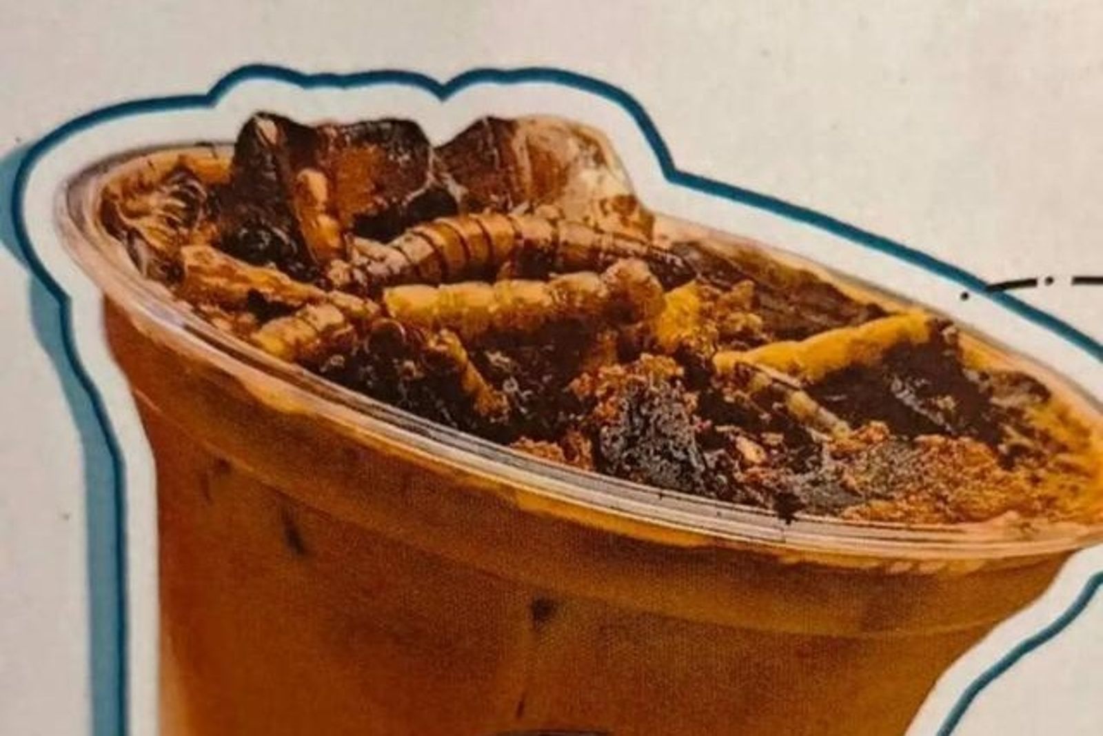 真有人買！博物館推「蟑螂咖啡、螞蟻特調飲」口感焦香帶點微酸　
