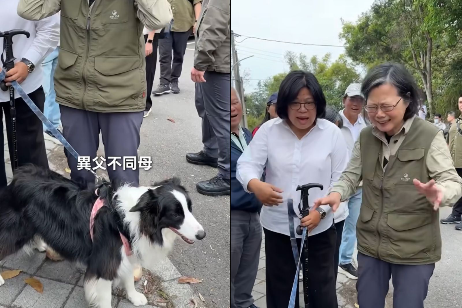 蔡英文揪王美惠爬山有可愛邊牧陪伴 被「異父不同母」5字搞到腦袋卡住氣得甩手