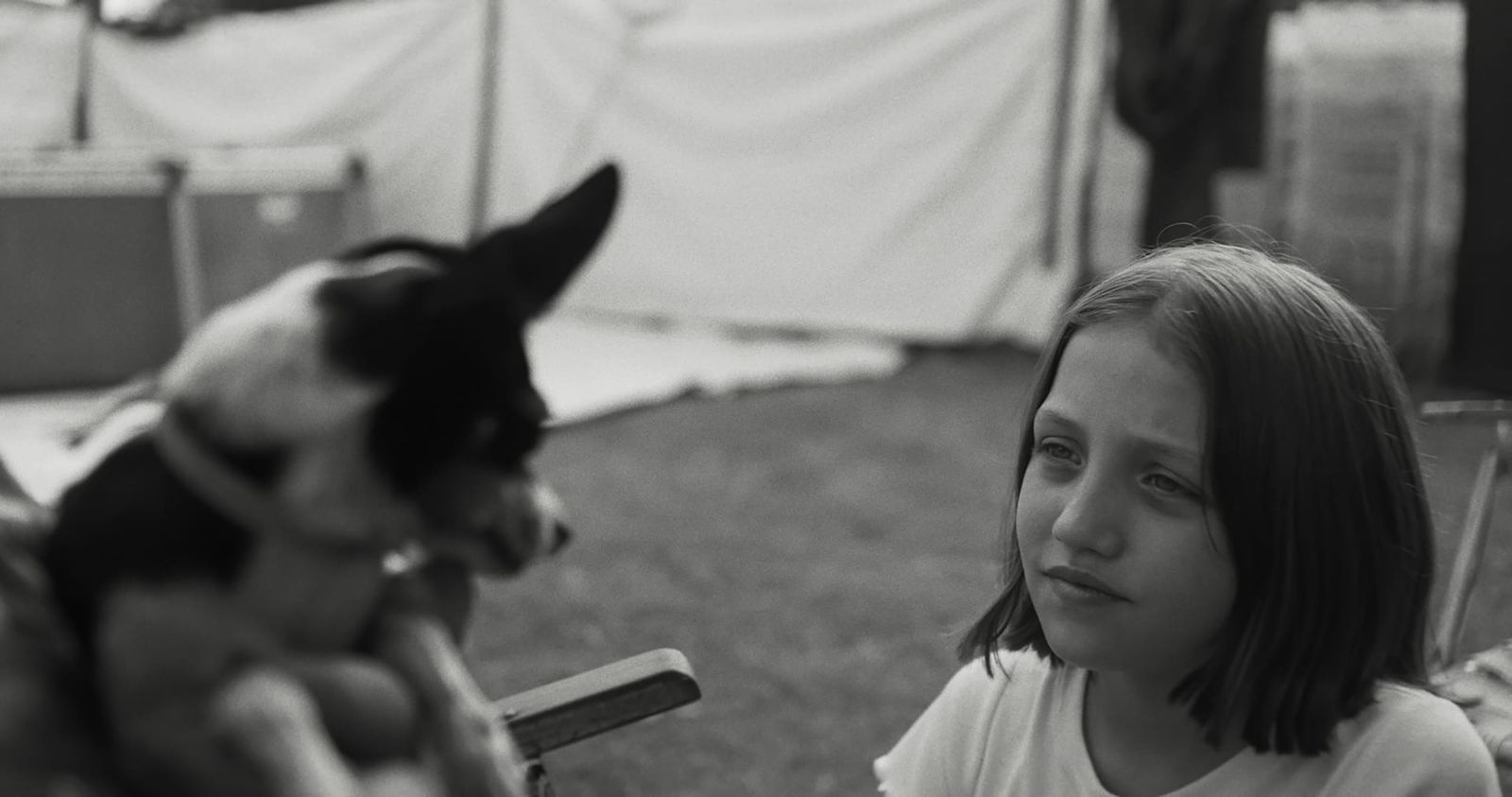 為貓、狗、烏龜寵物溝通!《聽牠怎麼說》揭祕「毛孩告白」 連阿根廷總統也通靈愛犬