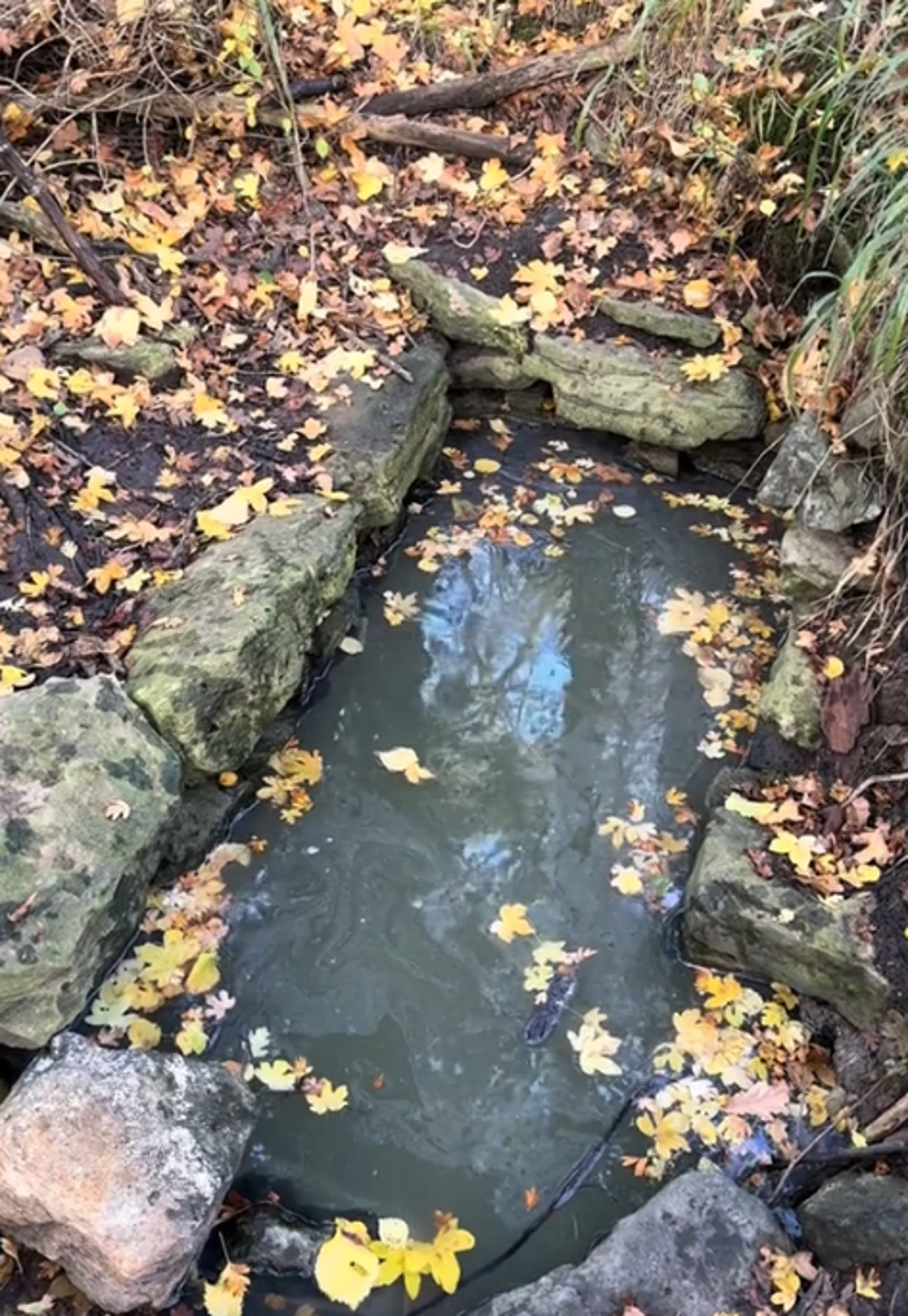 部分遺跡仍保有泉水。圖／翻攝自TikTok@cgledhill