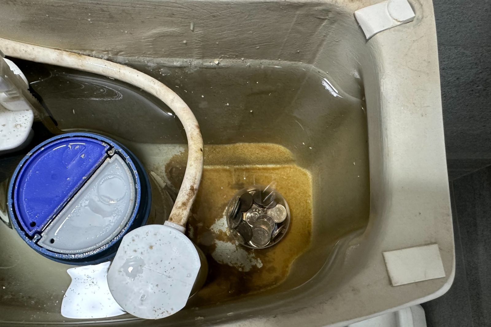 「1元銅板」神奇用途曝光！他實測驚呆了：除濕機生物膜消失