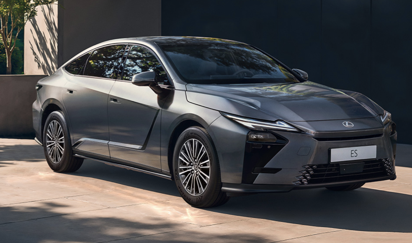 Lexus APP爆資安危機!車主驚收「陌生人停車紀錄」...網笑喊:不敢載小三了