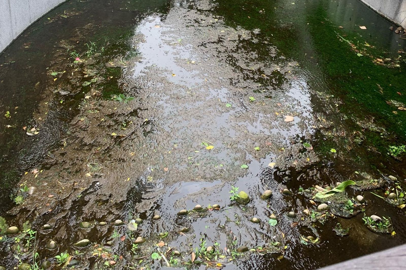 網友拍下綠川河道，痛批像臭水溝。圖／翻攝自Threads