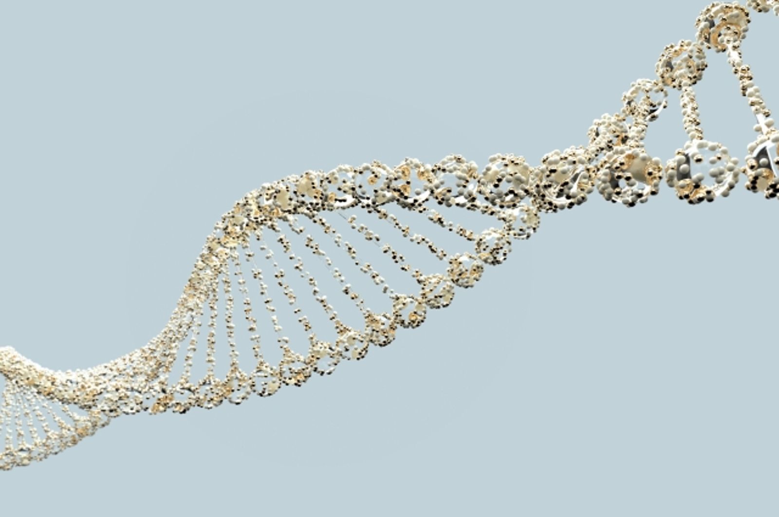 他捐精17年！竟攜帶「罹癌率90%」突變基因　至少197娃受害
