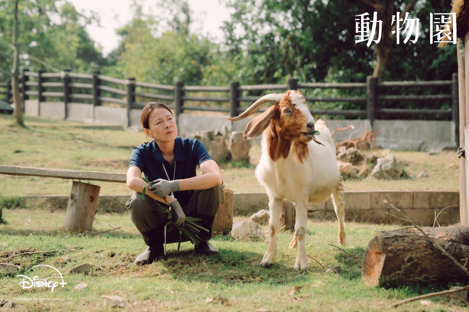 金鐘視后「接生」想起喪女悲傷！畫面太震撼惹淚崩　吐露「所有細胞都在痛」真實感受