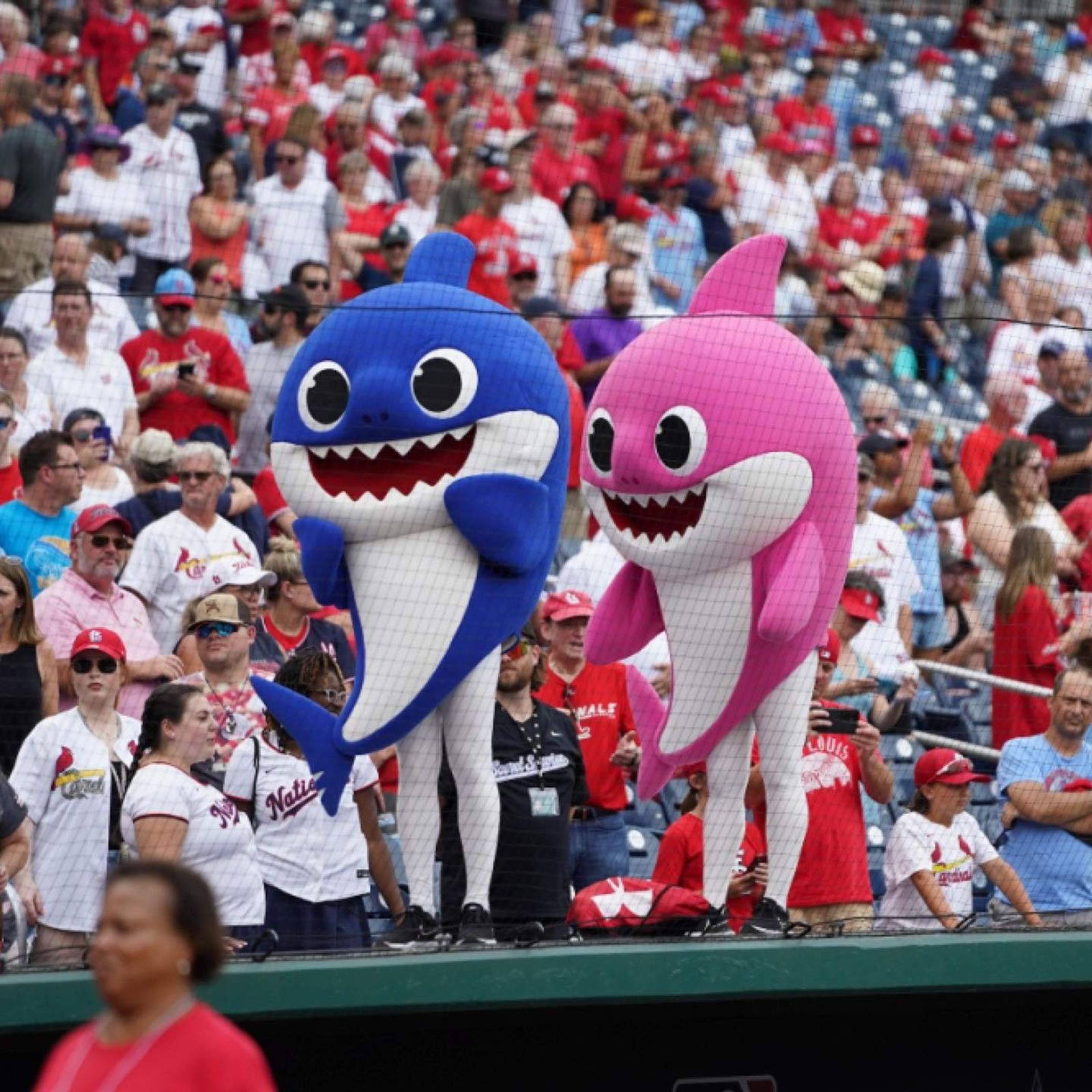 還記得《Baby Shark》嗎？公司靠這首歌「10年後正式上市」…驚人市值曝光