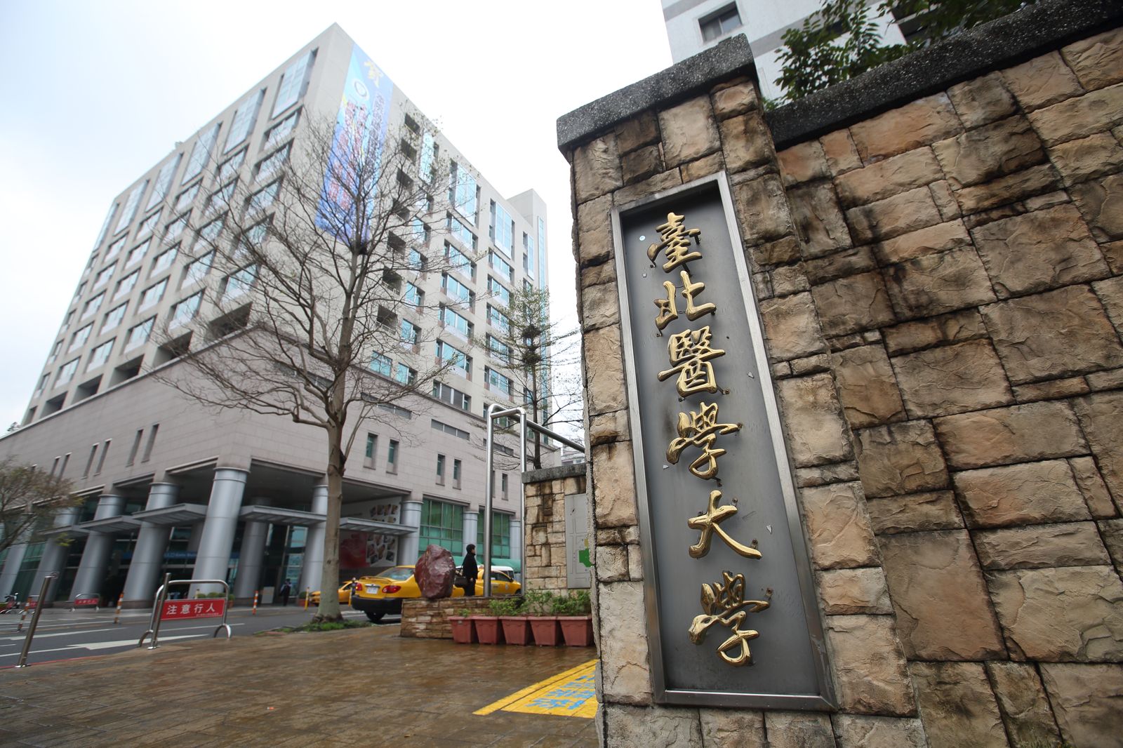 正取全沒了！「最佳辯士」高中生涉造假　陽明交大、北醫、中國醫、中山醫皆不錄取