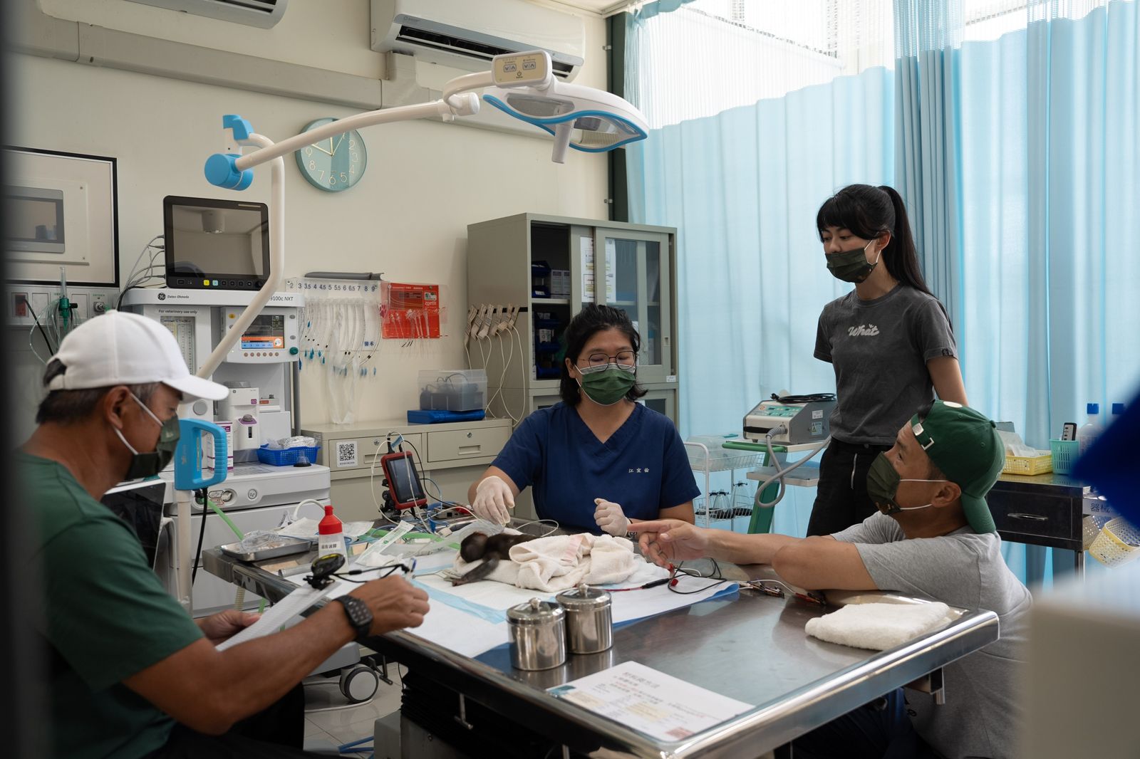 歐吉桑騎士》白癡公主（後）對於這場小猴子手術印象深刻。公視提供