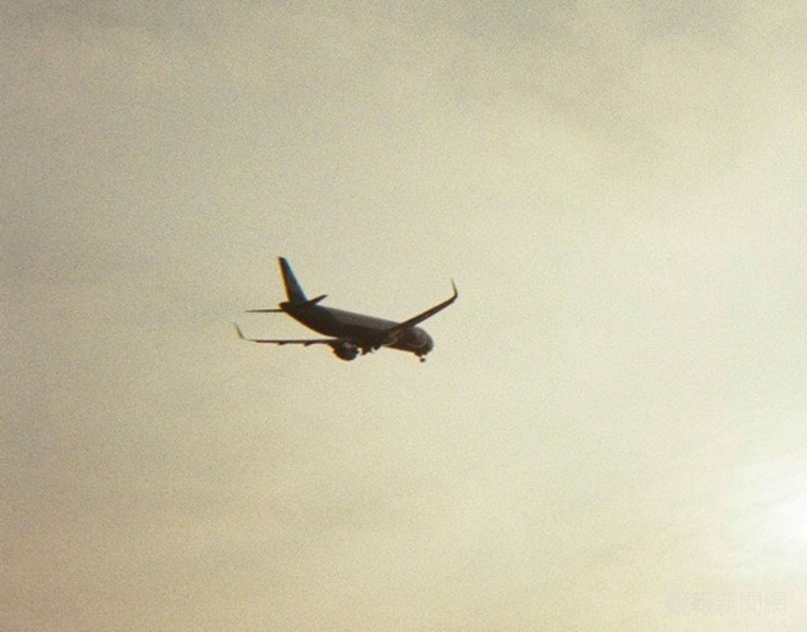 女生「這年齡層」出國人次遠超男生!網點關鍵原因