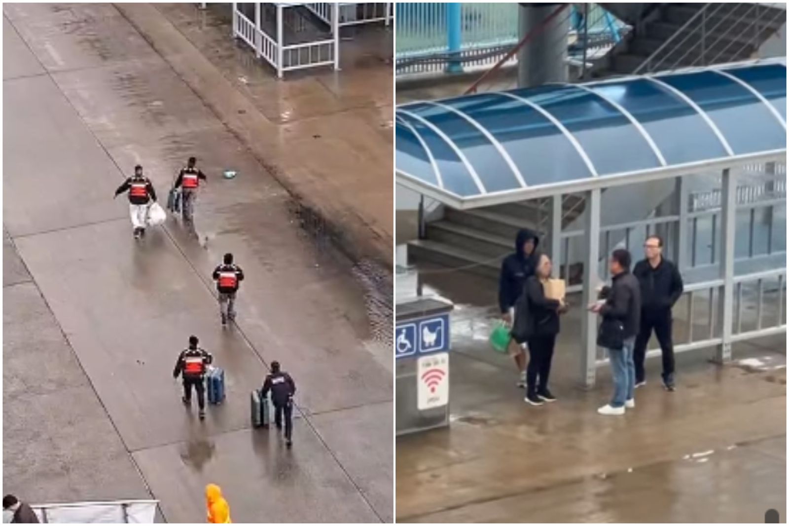 遲到的下場！3旅客直接被「丟包」　郵輪卸下行李開走了