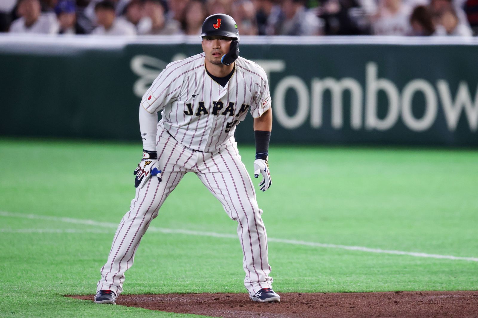 鈴木誠也無緣開幕戰！膝傷未癒　是否進傷兵名單小熊主帥這樣說