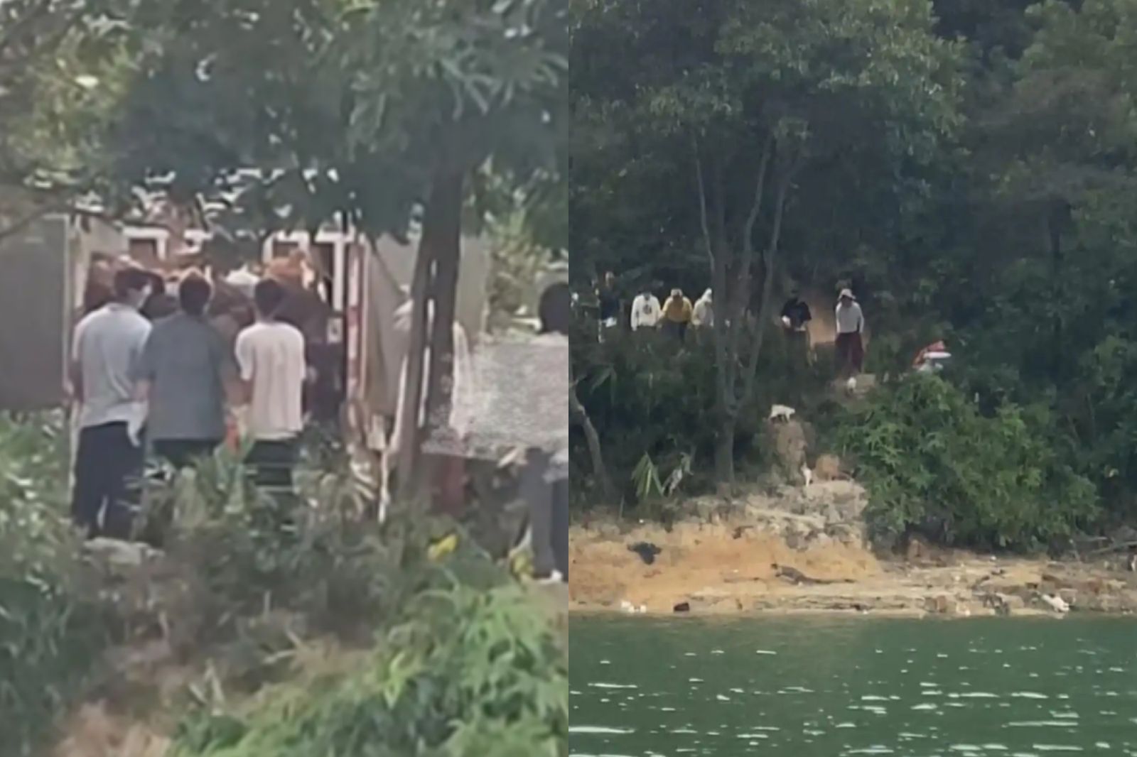 一群人在水庫邊放生野貓。圖／翻攝自微博