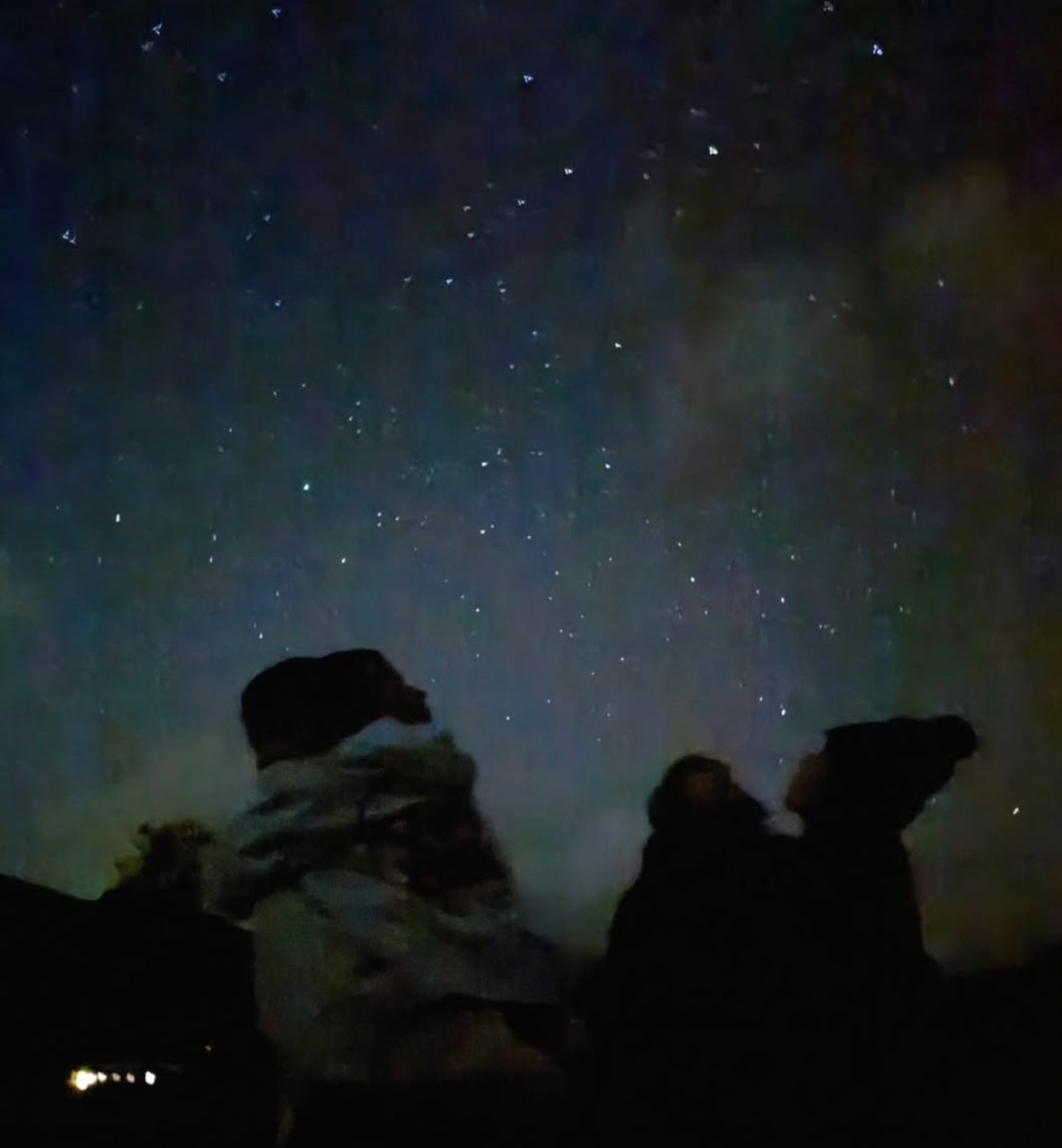 王棠云、余文樂都分享一家人看星空的照片,宣布離婚消息。翻攝IG @sarah9_23