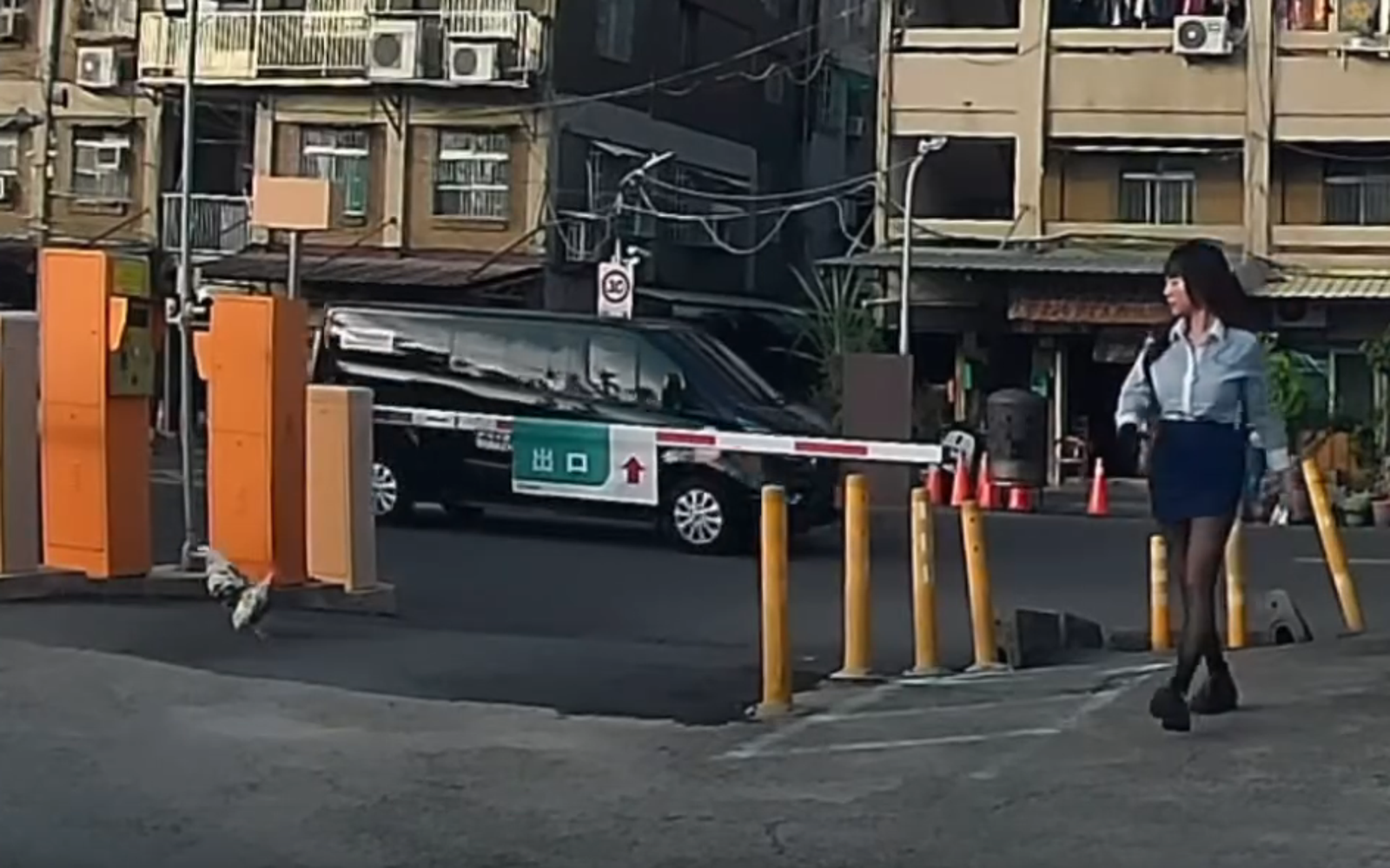 黑絲OL「被雞追」60秒片爆紅。圖／翻攝自當事人Threads