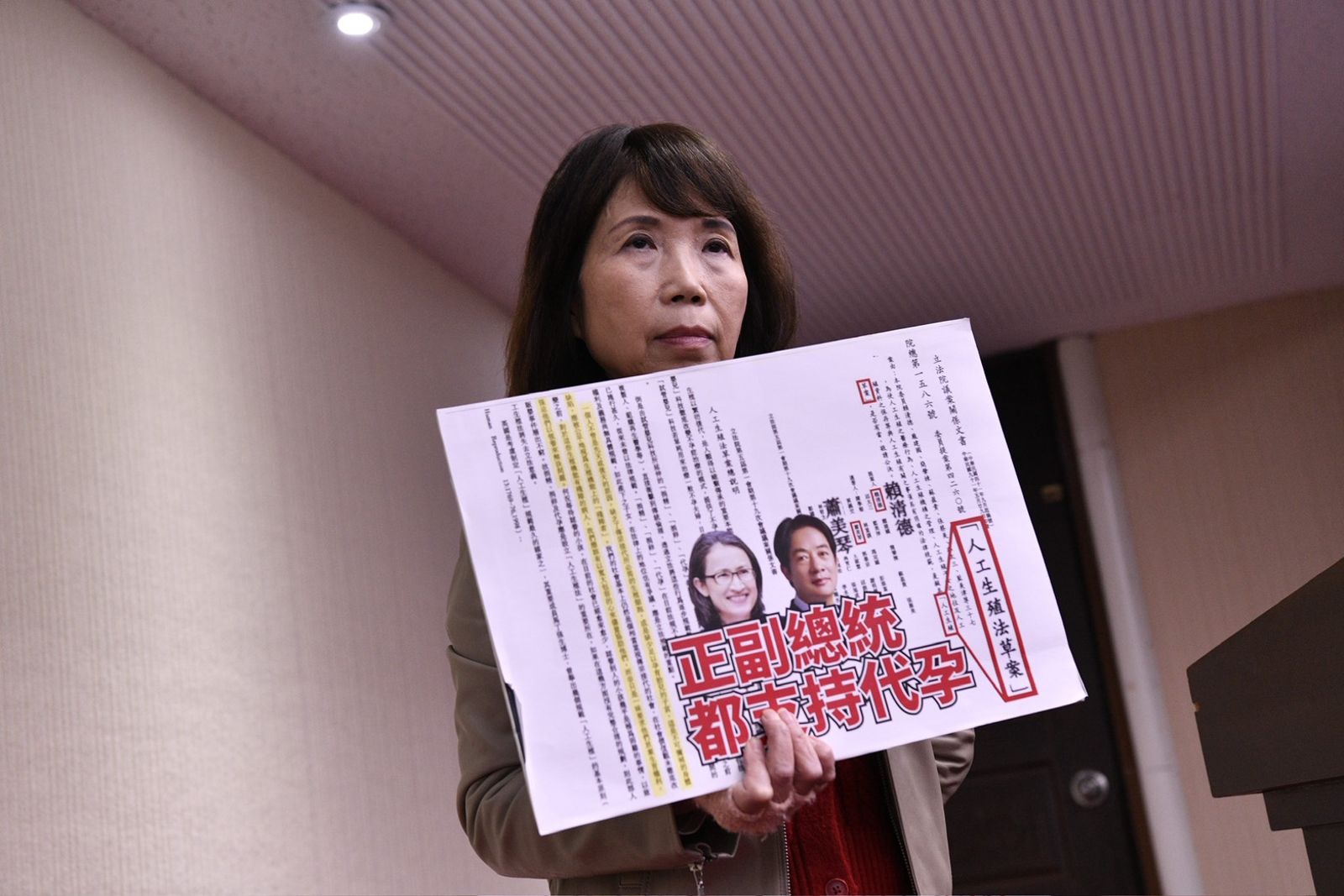 立院今審人工生殖法!陳昭姿力推代孕 律師諷:去向魔鬼兌現支票