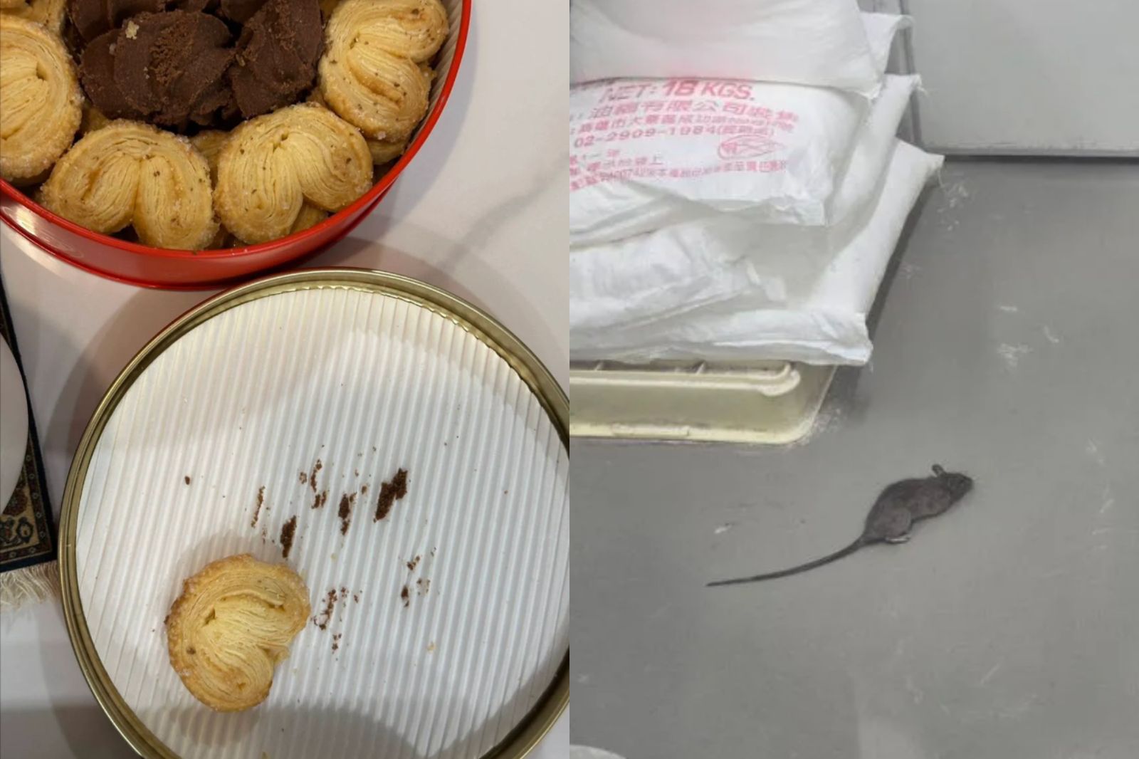 不只老鼠亂跑!大稻埕知名餅乾店員工加碼爆料「薪水遲發、無烘焙證照」 衛生局要查了