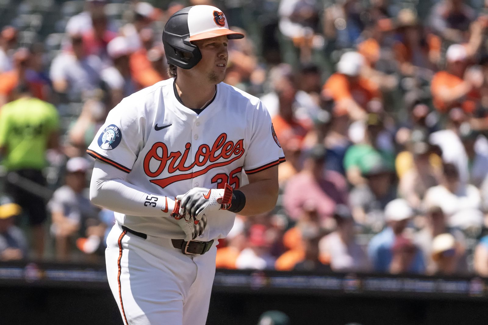 開季打擊回春卻傷退！金鶯狀元捕手腳踝發炎進傷兵　團隊火力拉警報